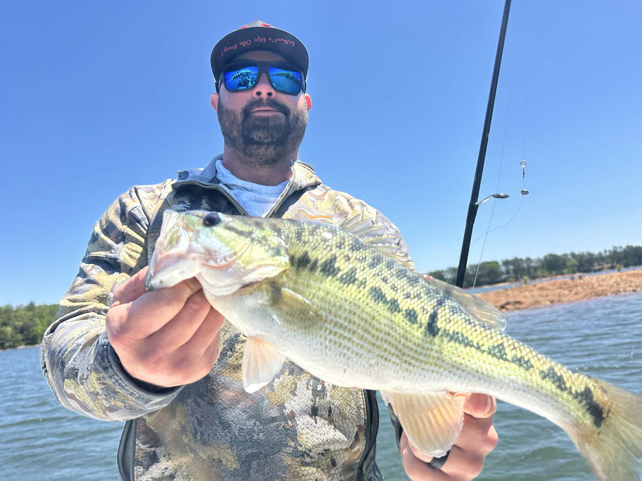 Striped Bass — April 2026