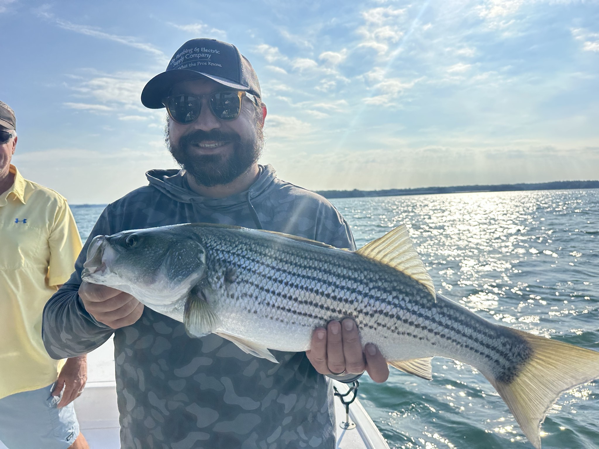 Striped And Spotted Bass Lake Lanier