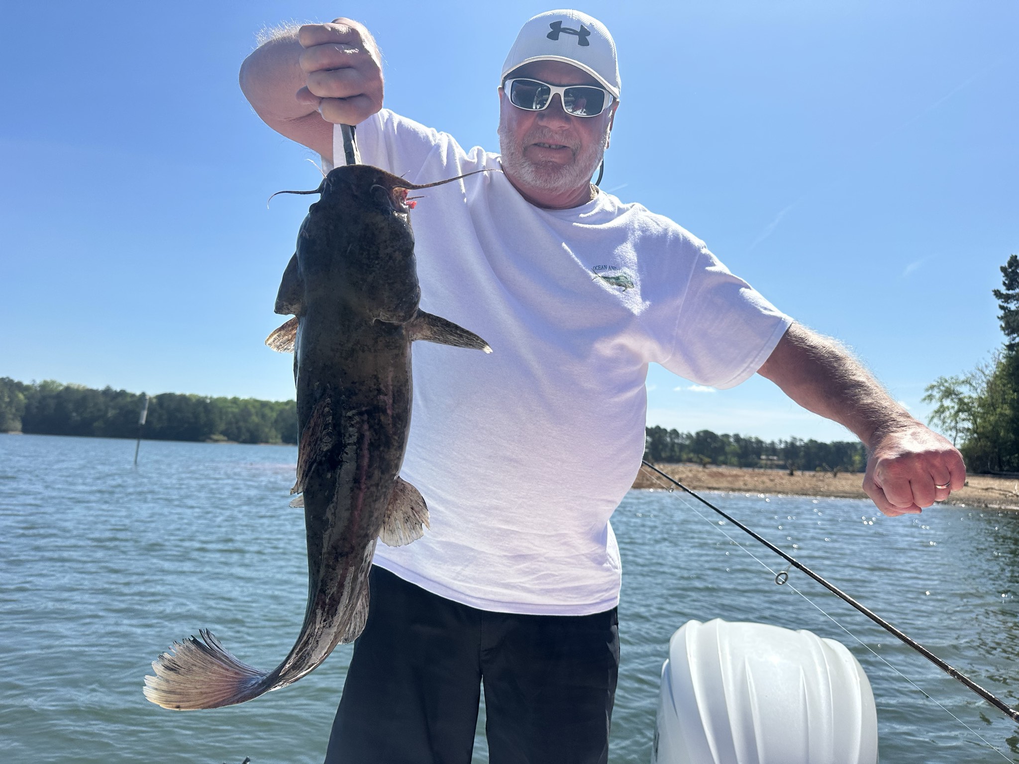 Striped Bass — April 2026