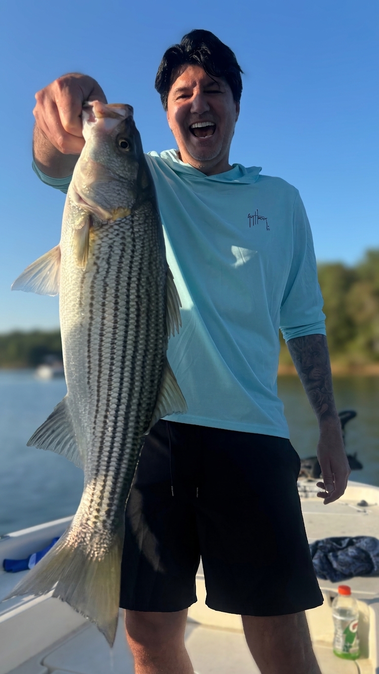 Striped bass caught on Lake Lanier, Sept 18, 2026