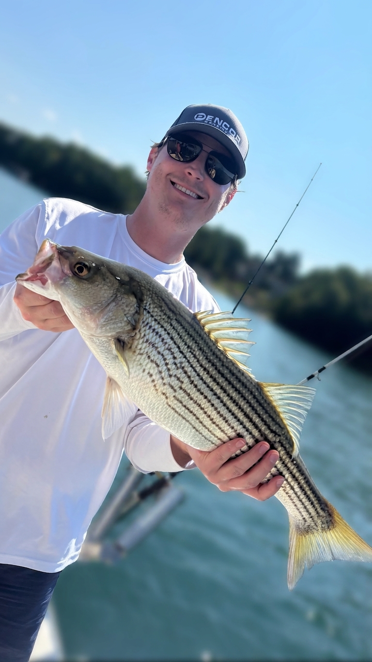 Striped bass caught on Lake Lanier, Sept 4, 2026