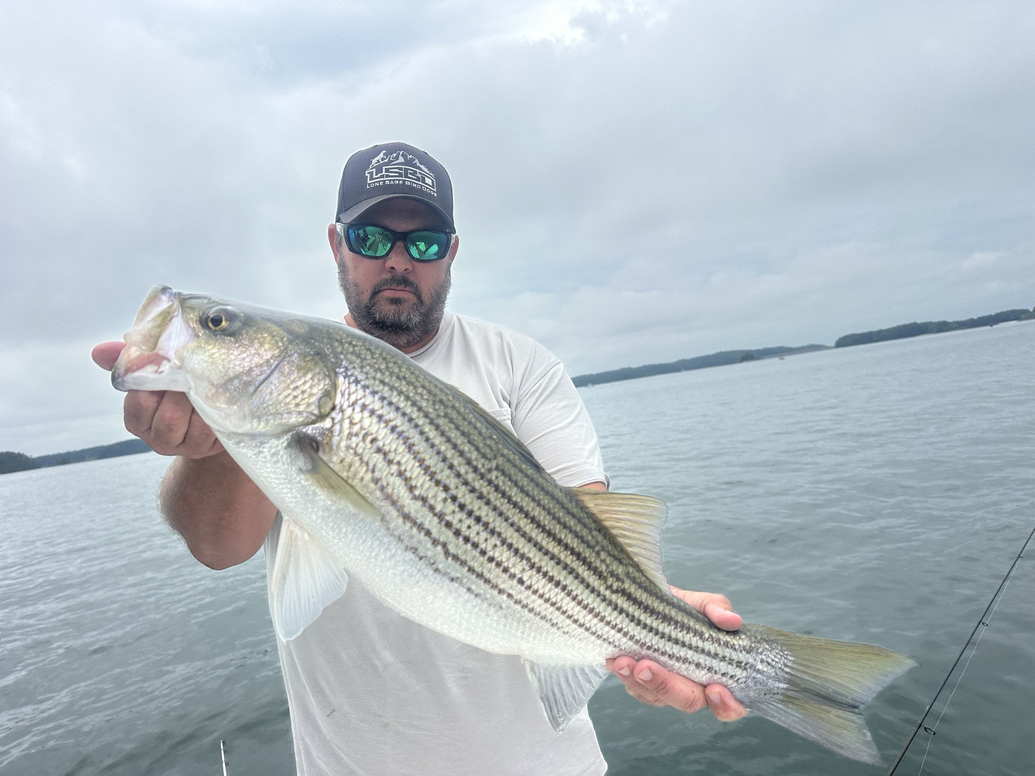 Summer Bass Bite on Lake Lanier