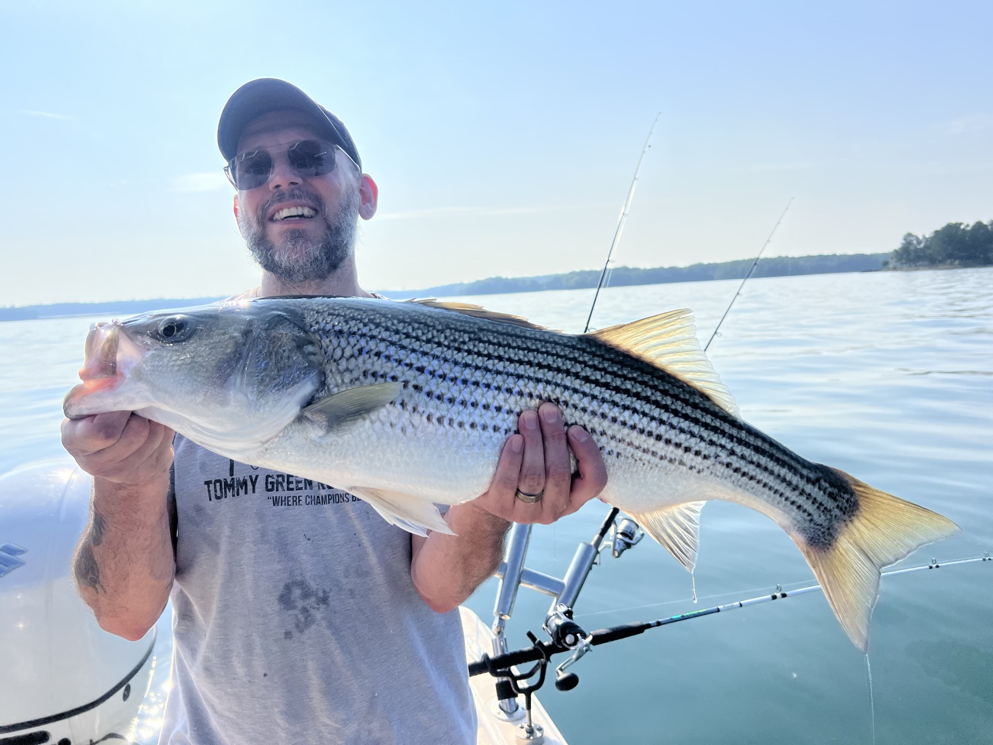 Trophy Striped Bass Lake Lanier Summer