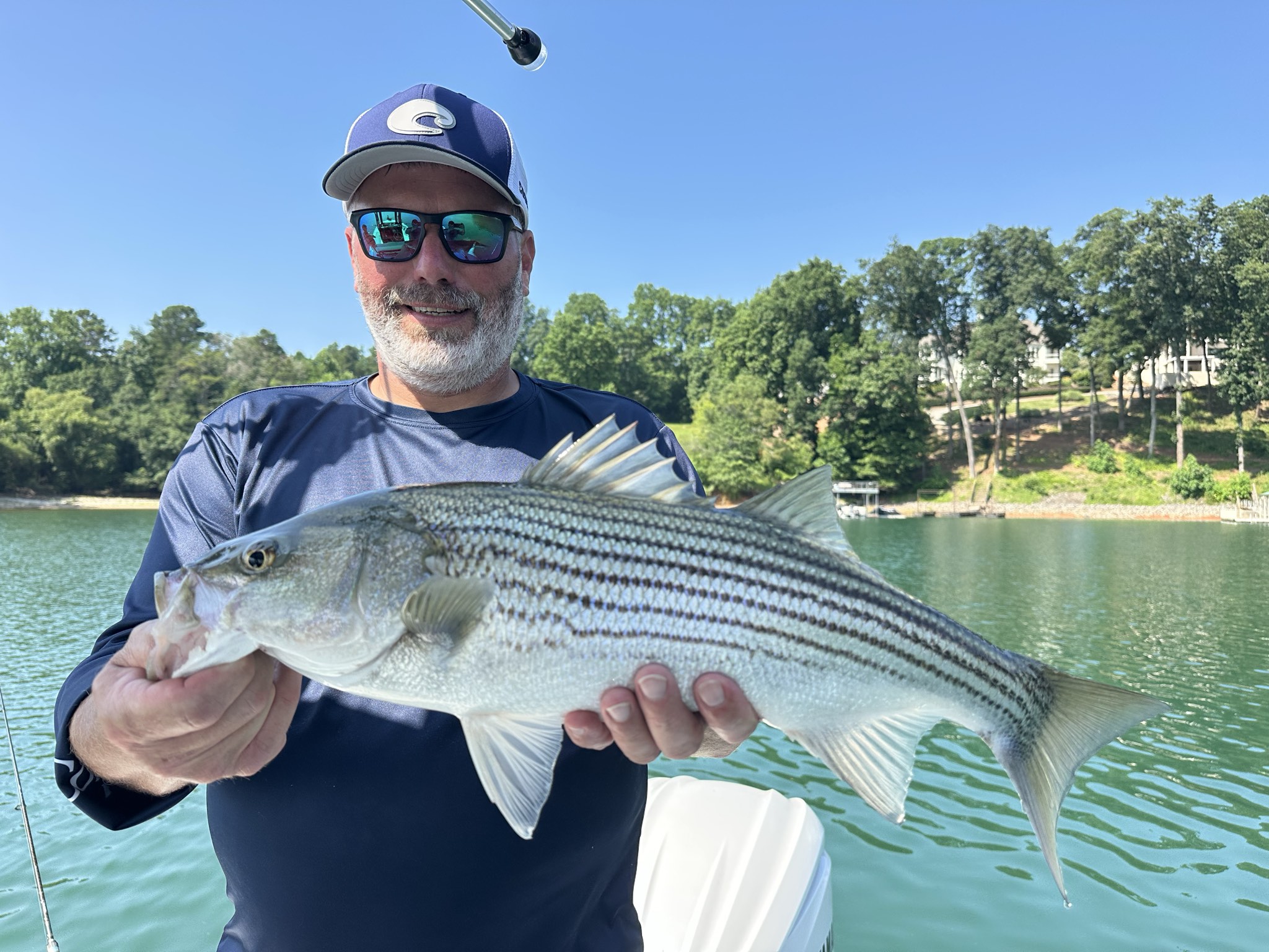 Summer Stripers And Spotted Bass Lake Lanier