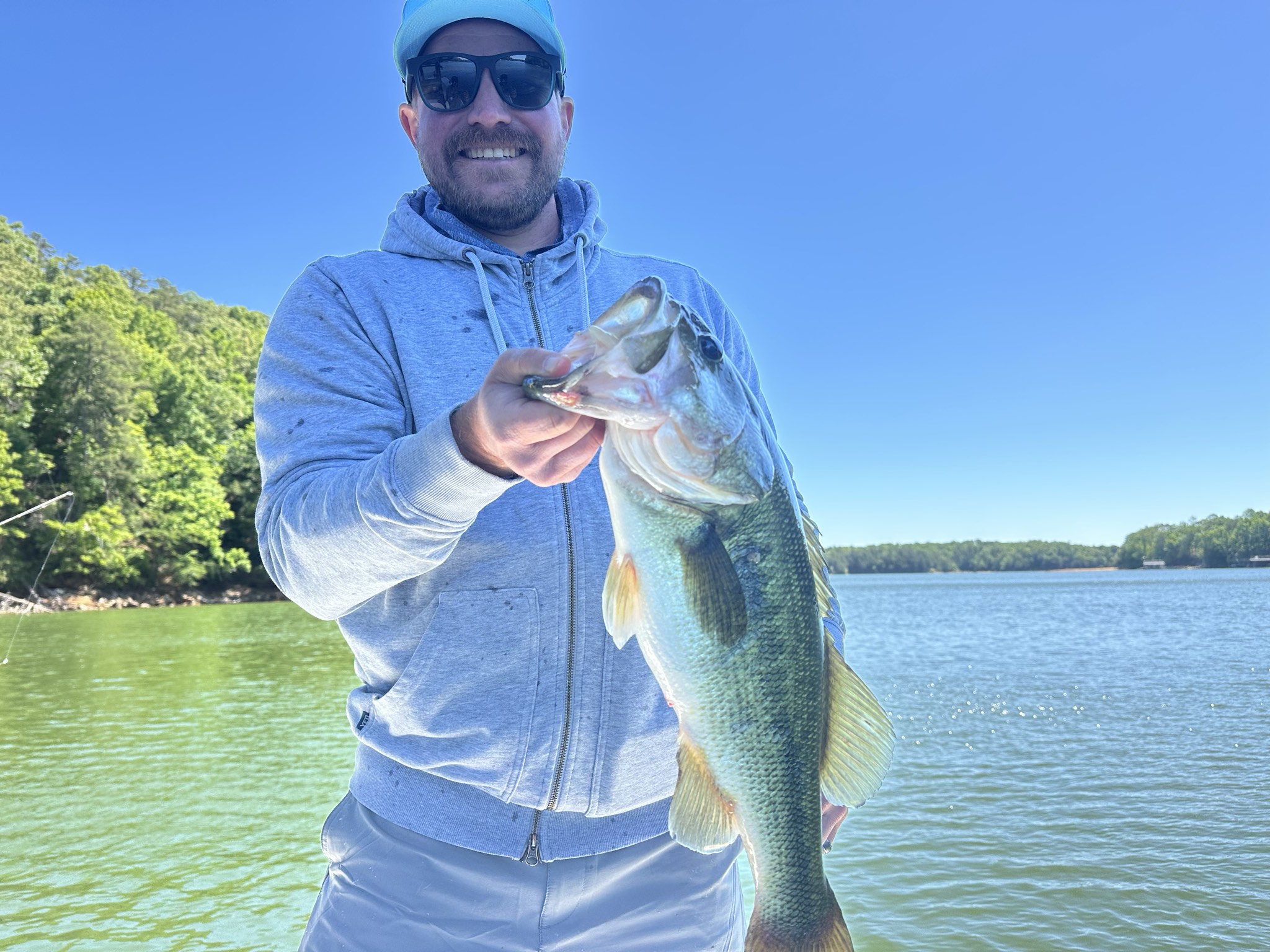 Striped Bass — May 2026