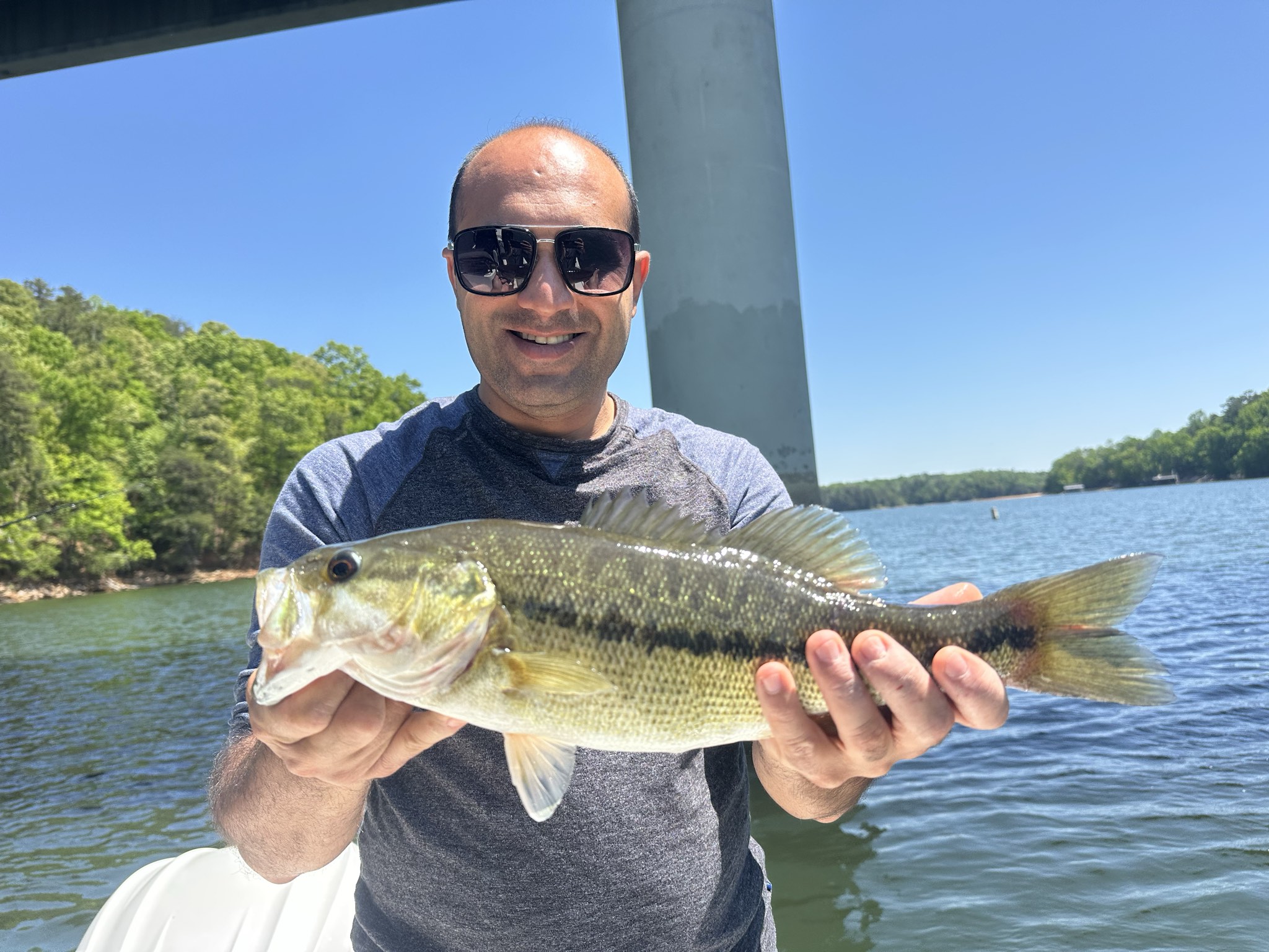 Striped Bass And Spotted Bass On Lake Lanier