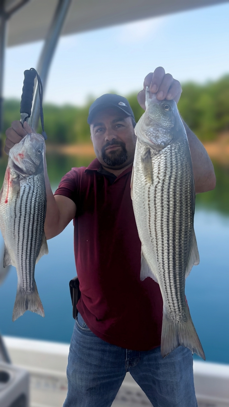 2 striped bass caught on Lake Lanier, Sept 19, 2026
