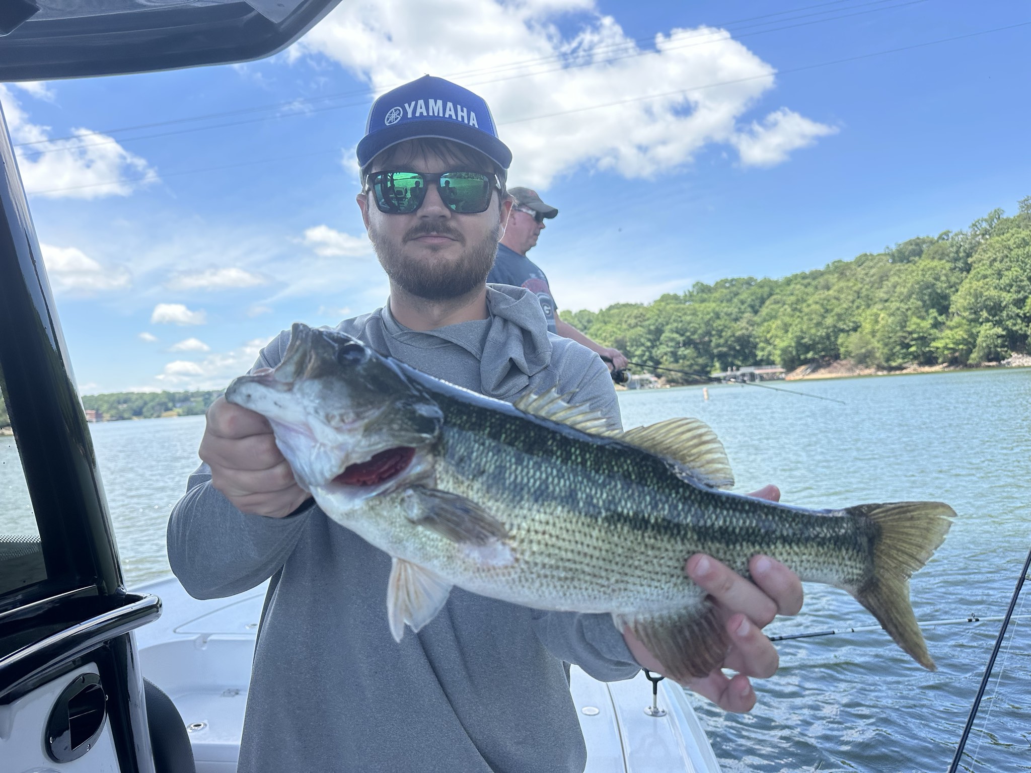 Striped Bass And Spotted Bass Dominate Lake Lanier
