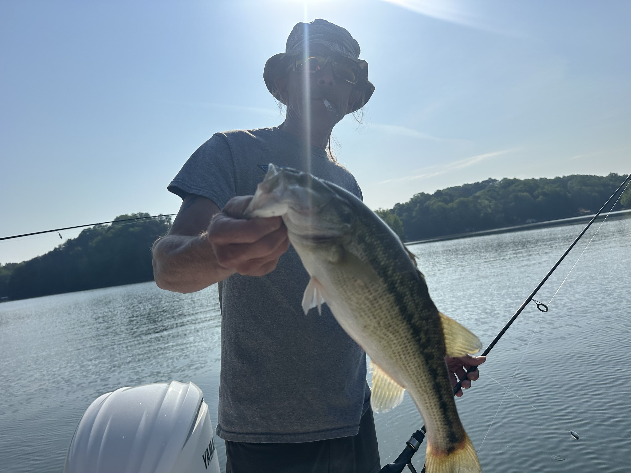 Striped Bass — April 2026
