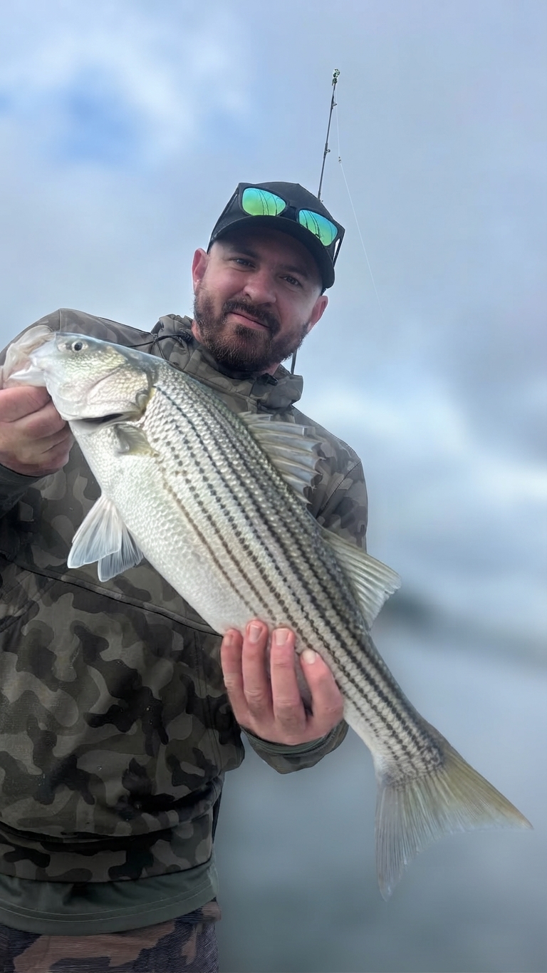 Lake Lanier Channel catfish — October 2026