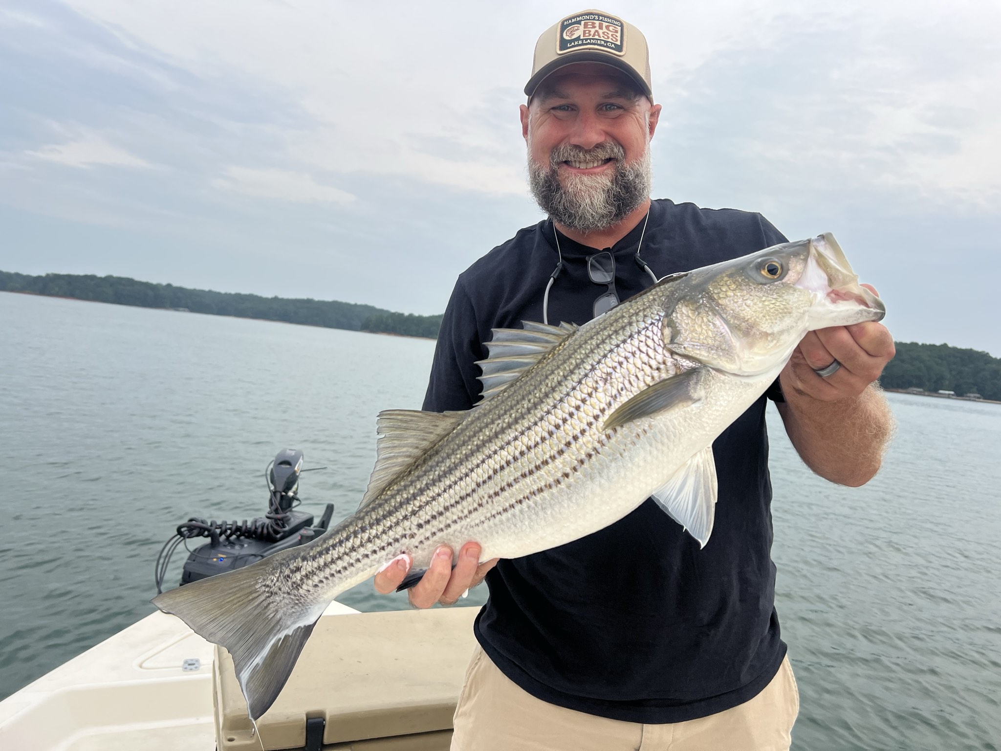 Striped Bass Action On Lake Lanier