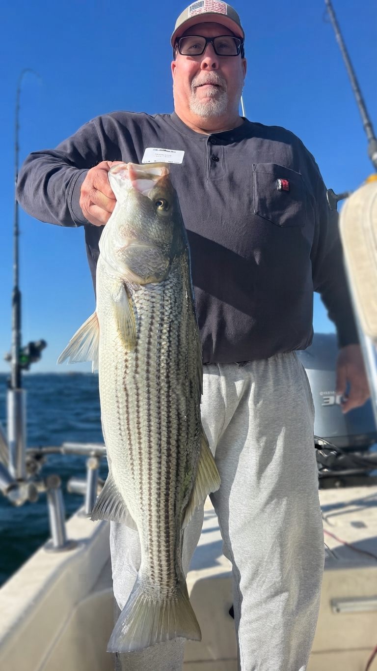 Striped bass caught on Lake Lanier, Oct 23, 2026
