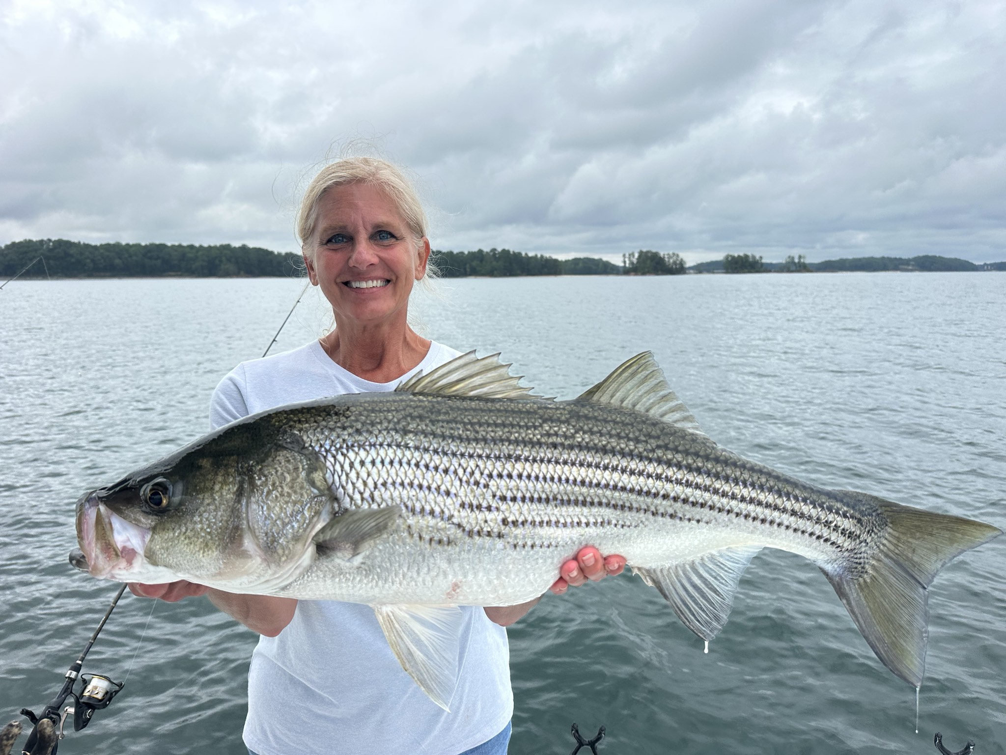 Trophy Bass Action Lake Lanier July