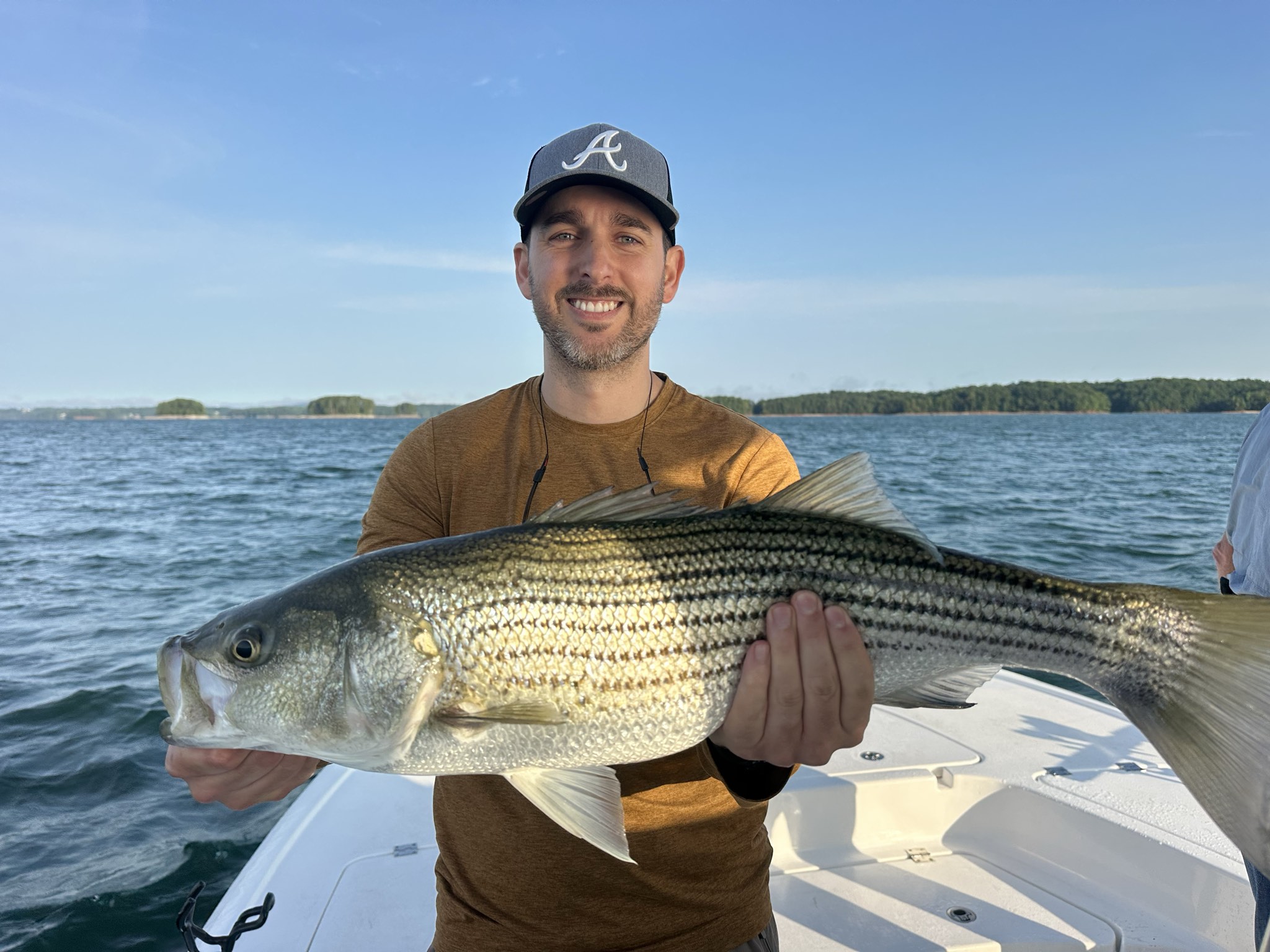 Striped And Spotted Bass On Lake Lanier