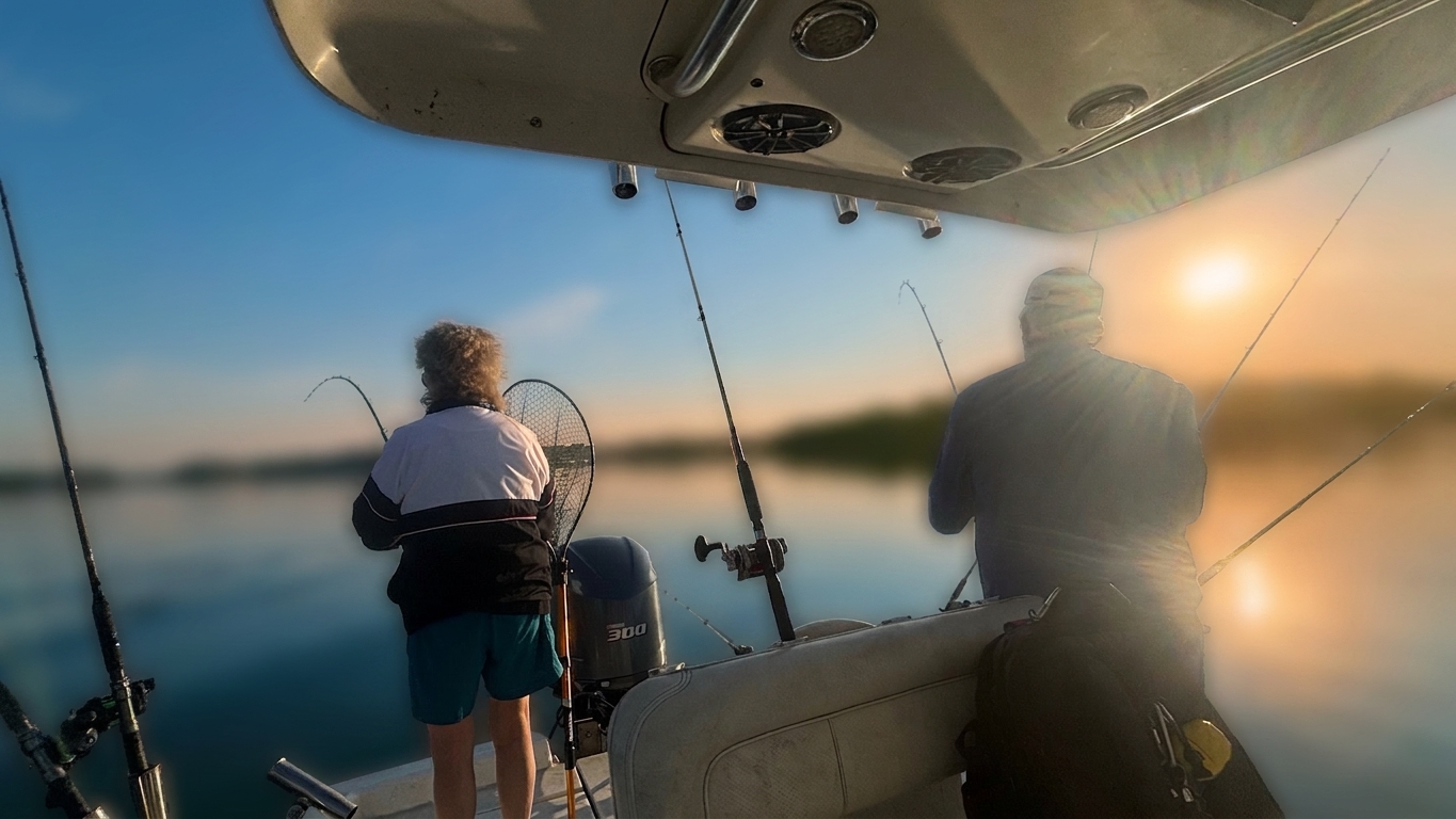 Striped Bass And Spotted Bass Dominate Lake Lanier