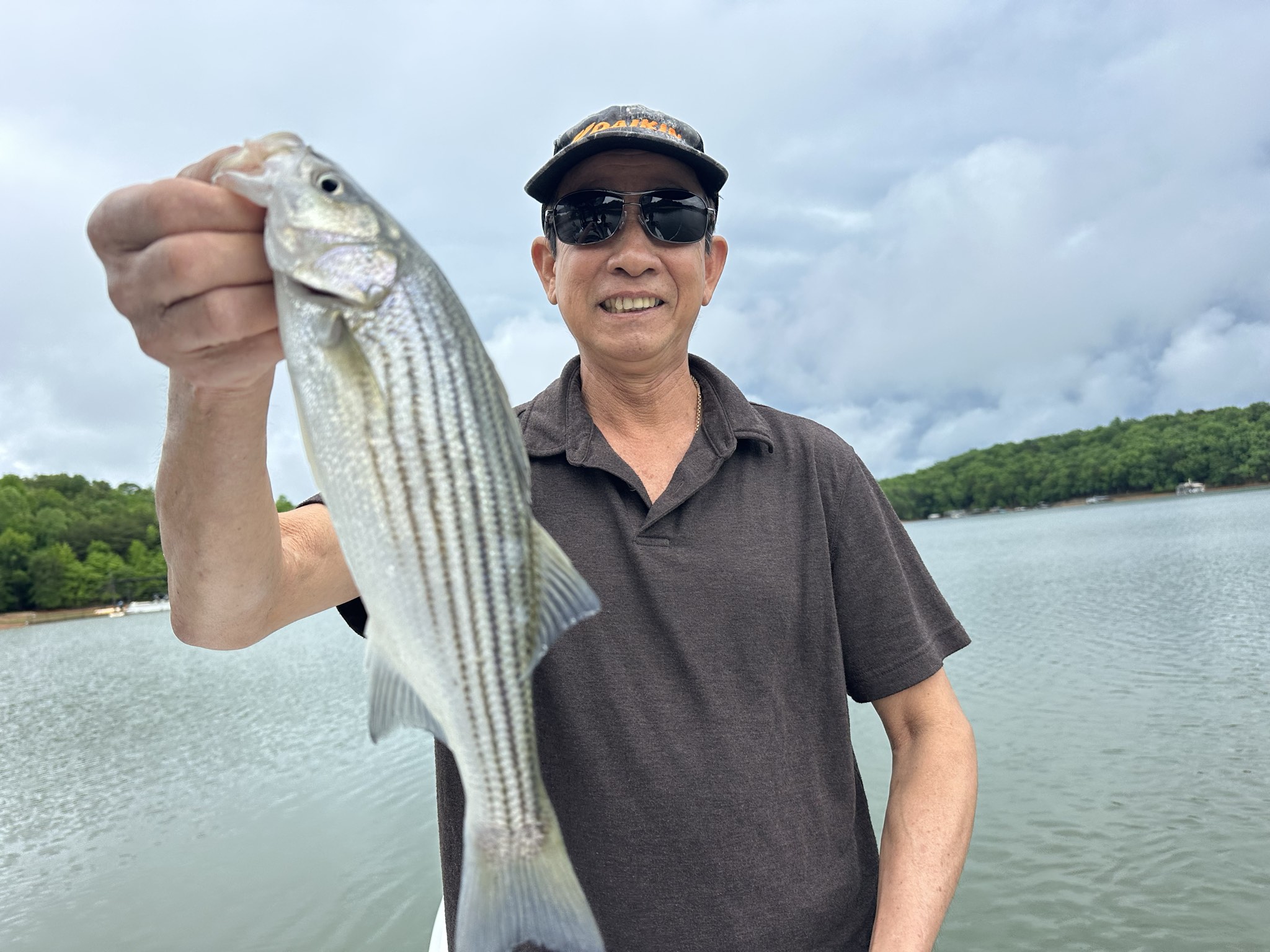 Lake Lanier May Striped Bass Success