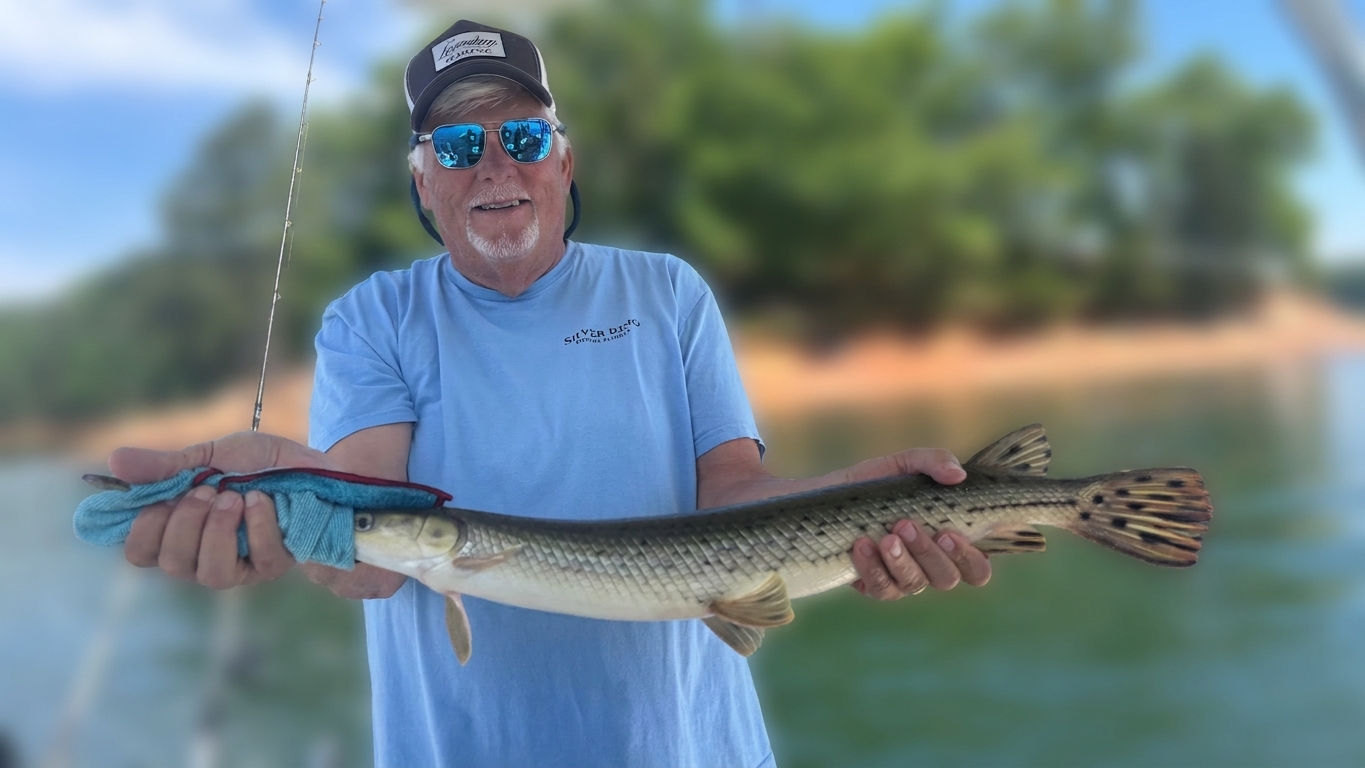 Striped Bass And Spotted Bass Dominate Lake Lanier