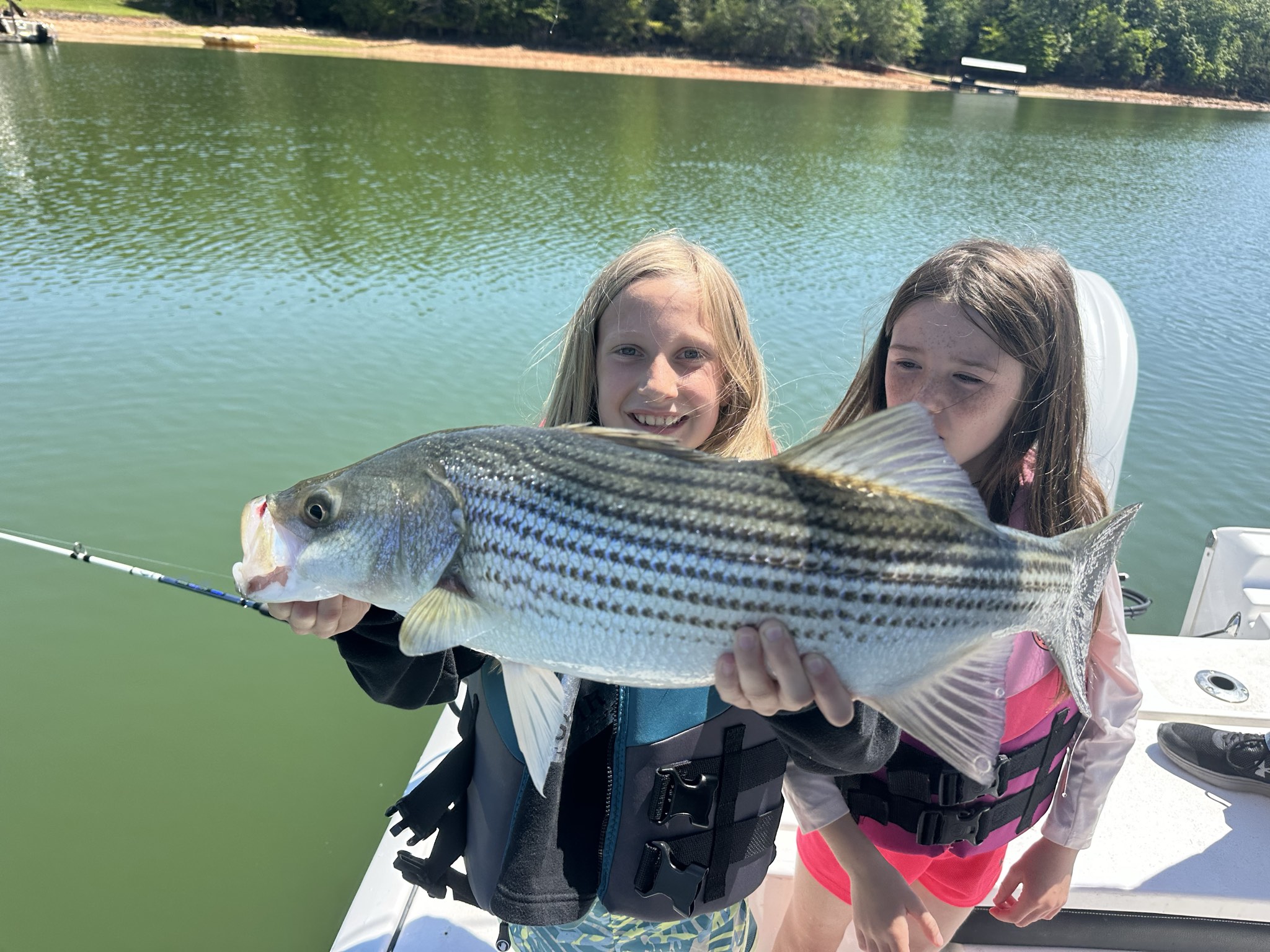 Striped Bass — May 2026