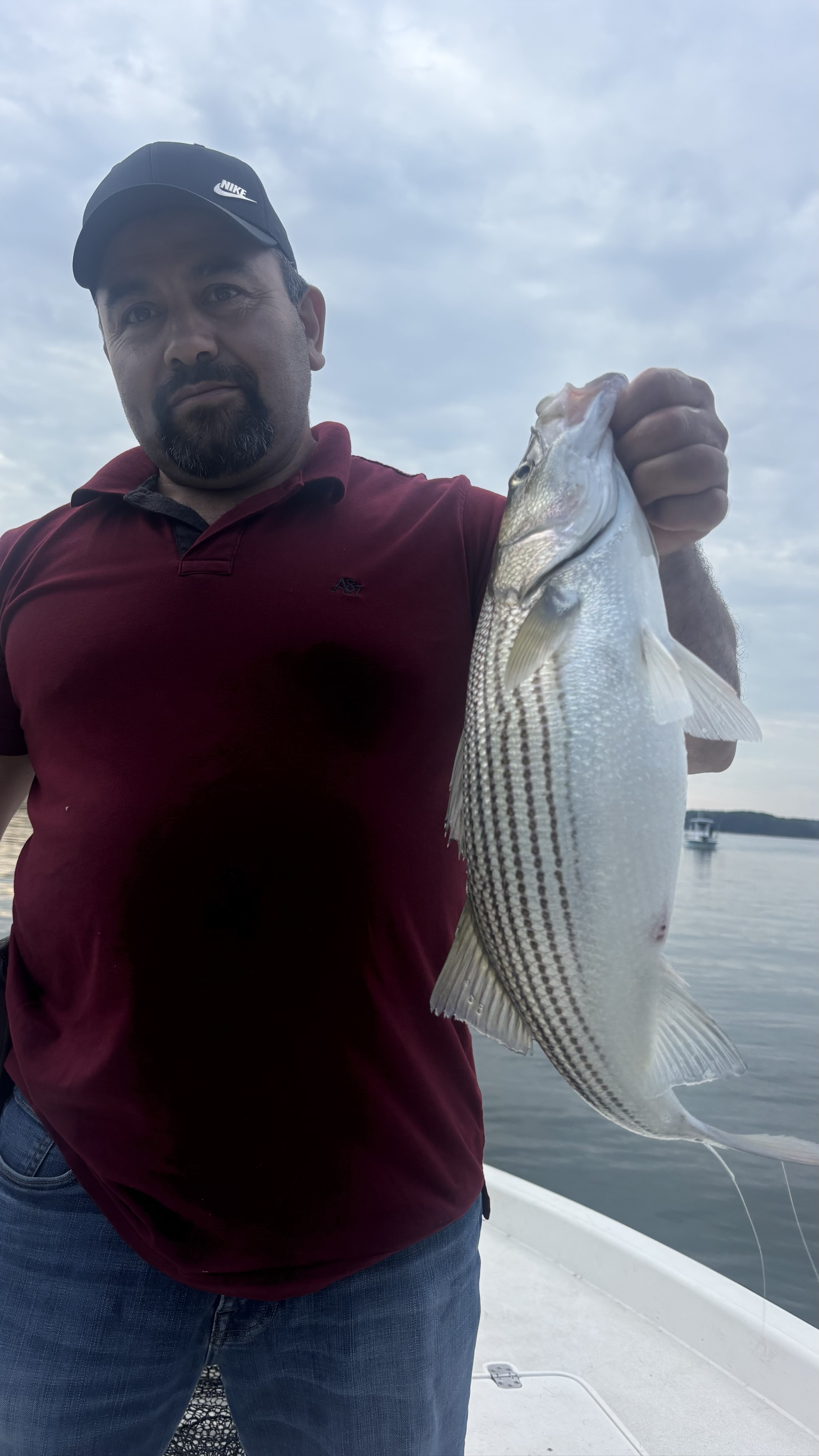 Striped Bass And Gar Action Lake Lanier