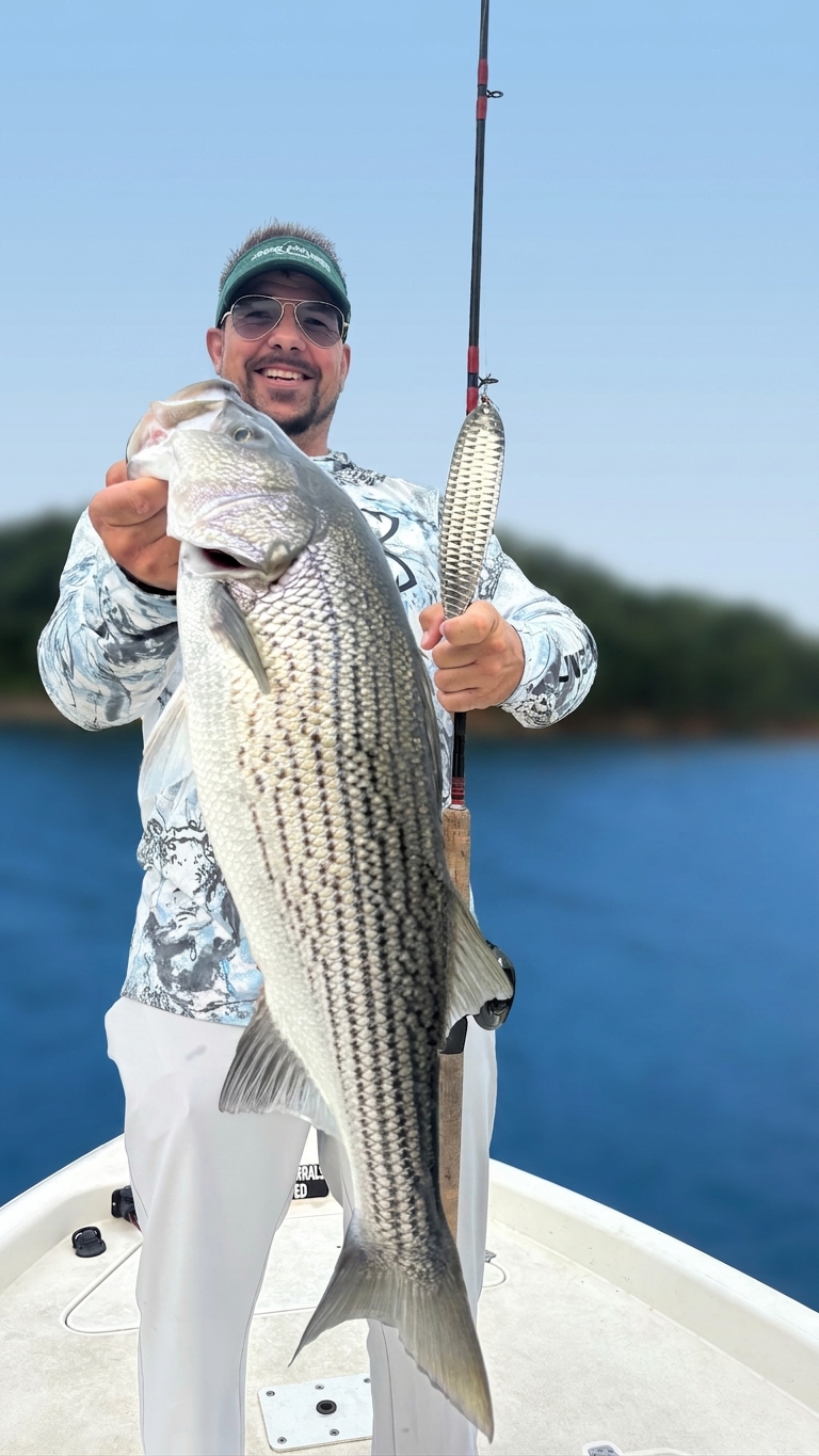 Striped And Spotted Bass On Lake Lanier