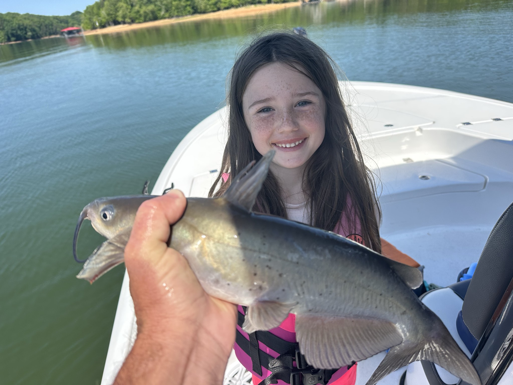 Striped Bass — May 2026