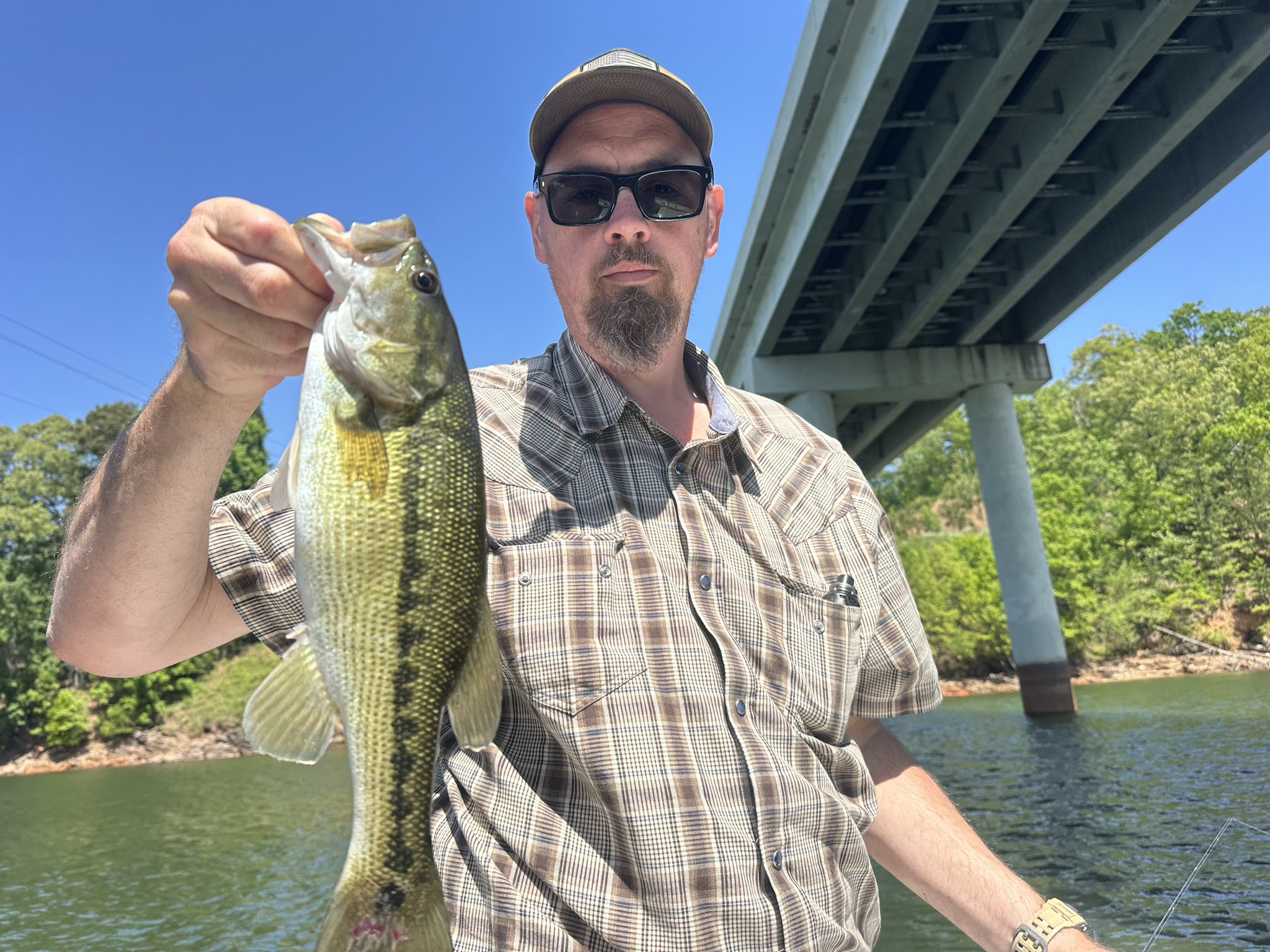 Striped Bass And Spotted Bass On Lake Lanier