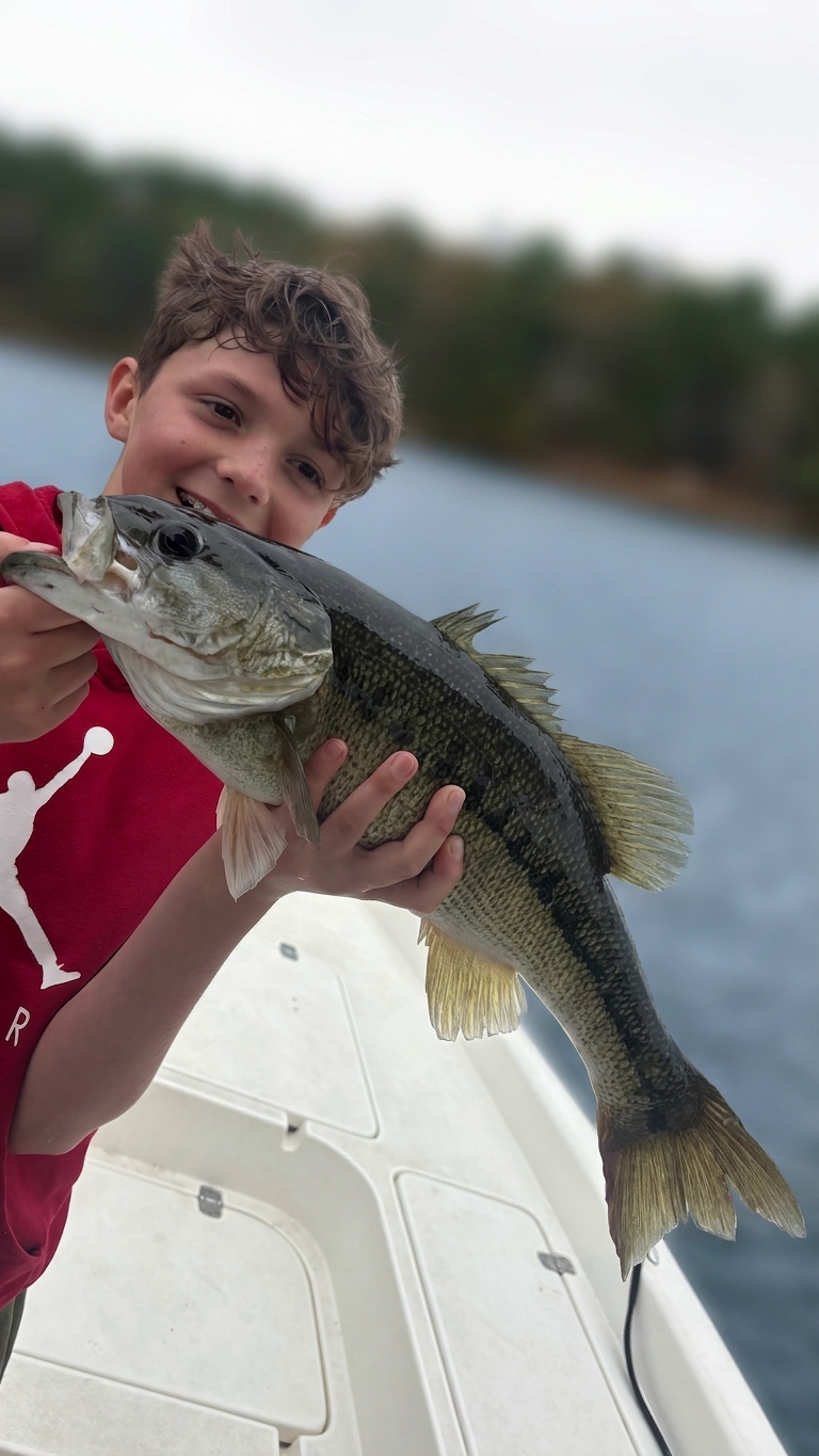 Striped Bass And Catfish Action At Lake Lanier
