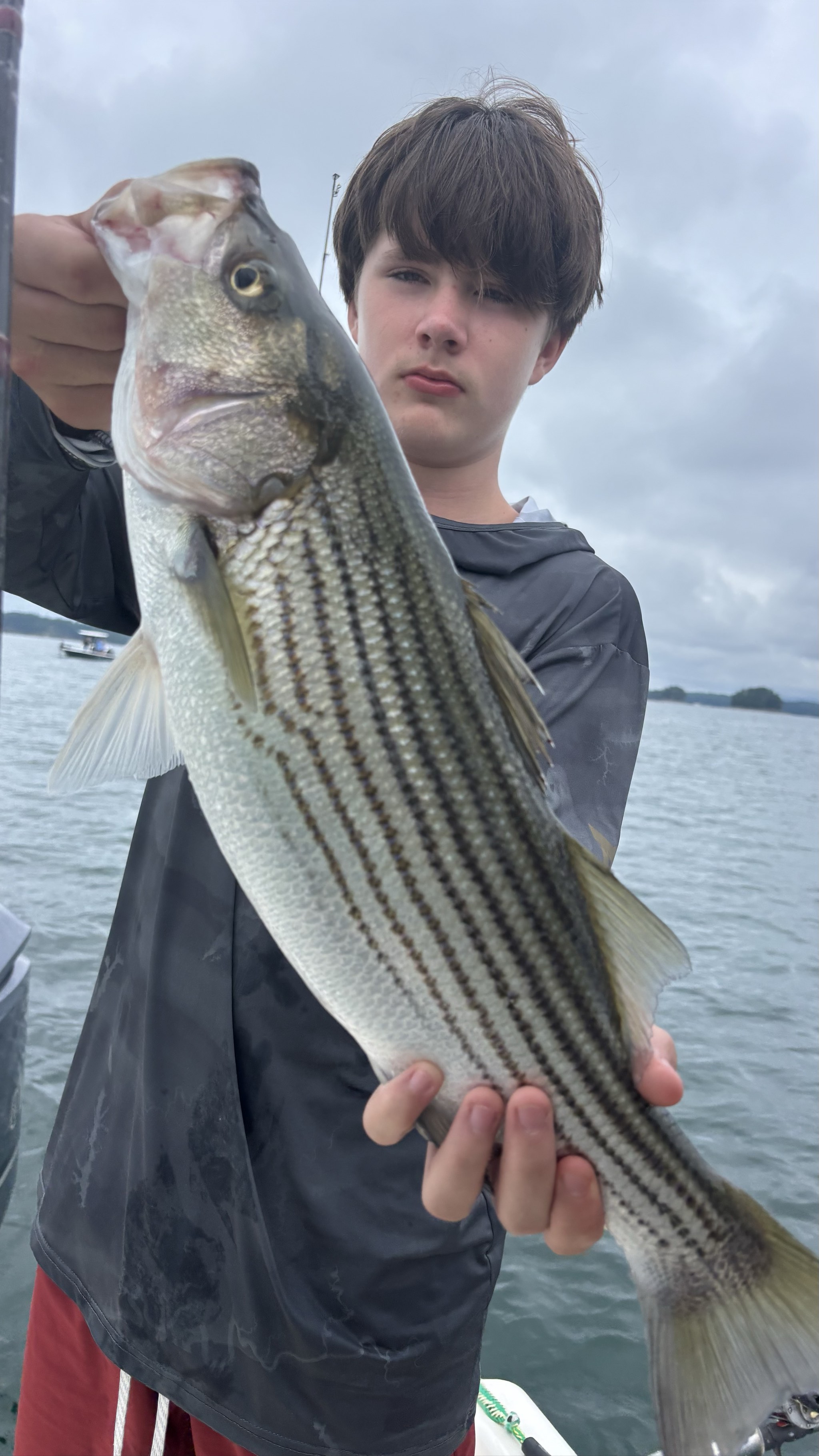 Trophy Stripers Heat Up Lake Lanier