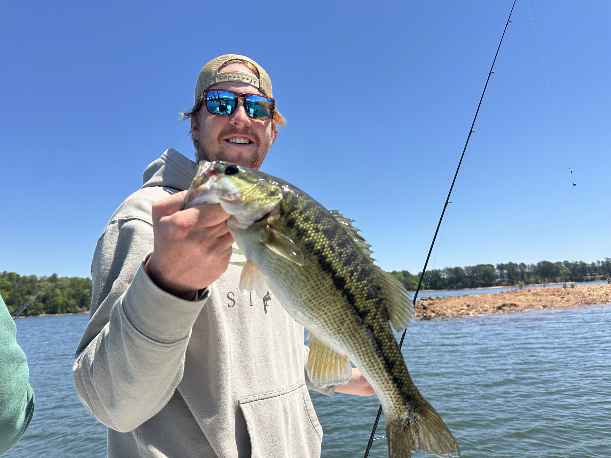 Striped Bass — April 2026