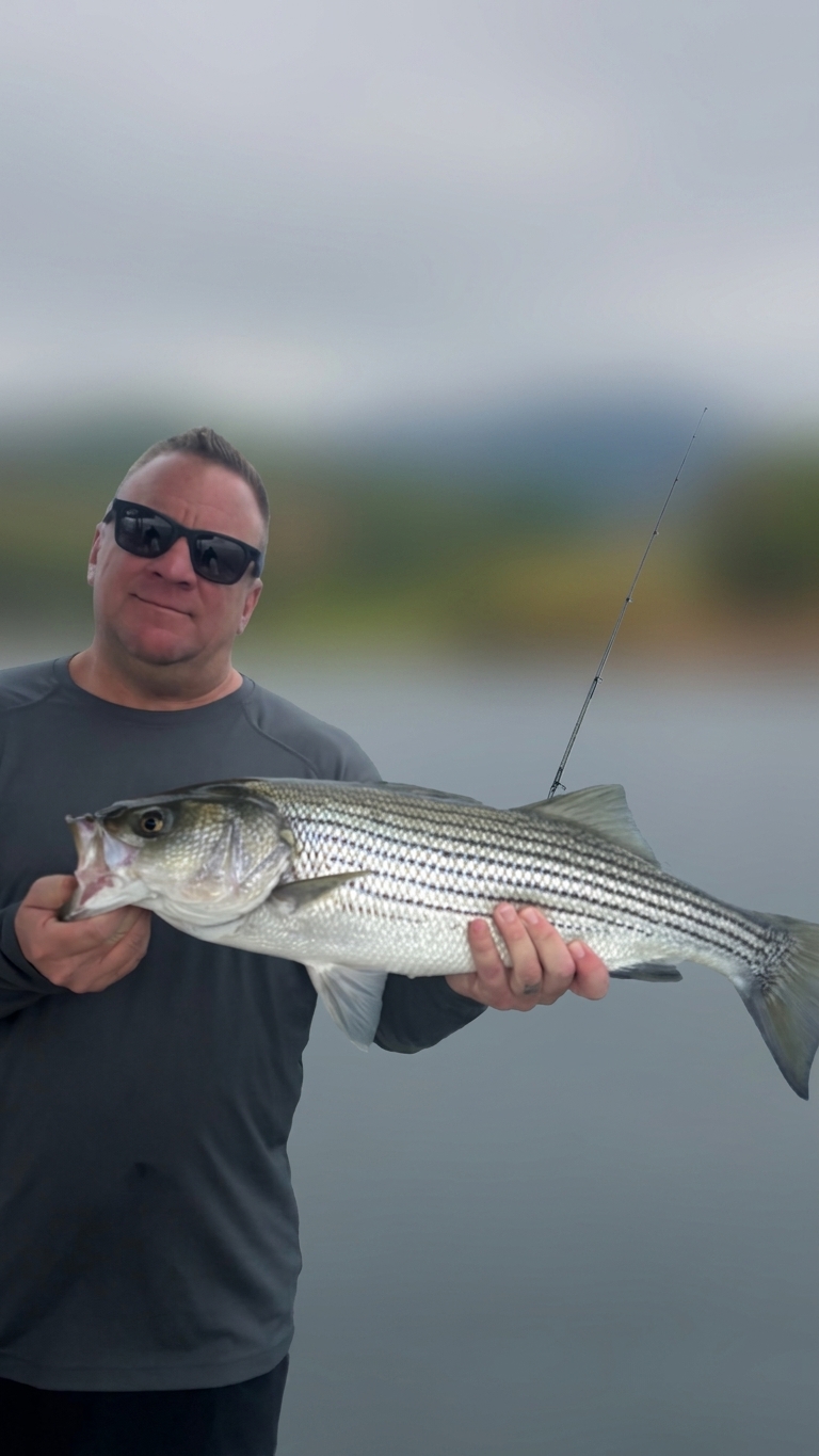 Lake Lanier bass — August 2026