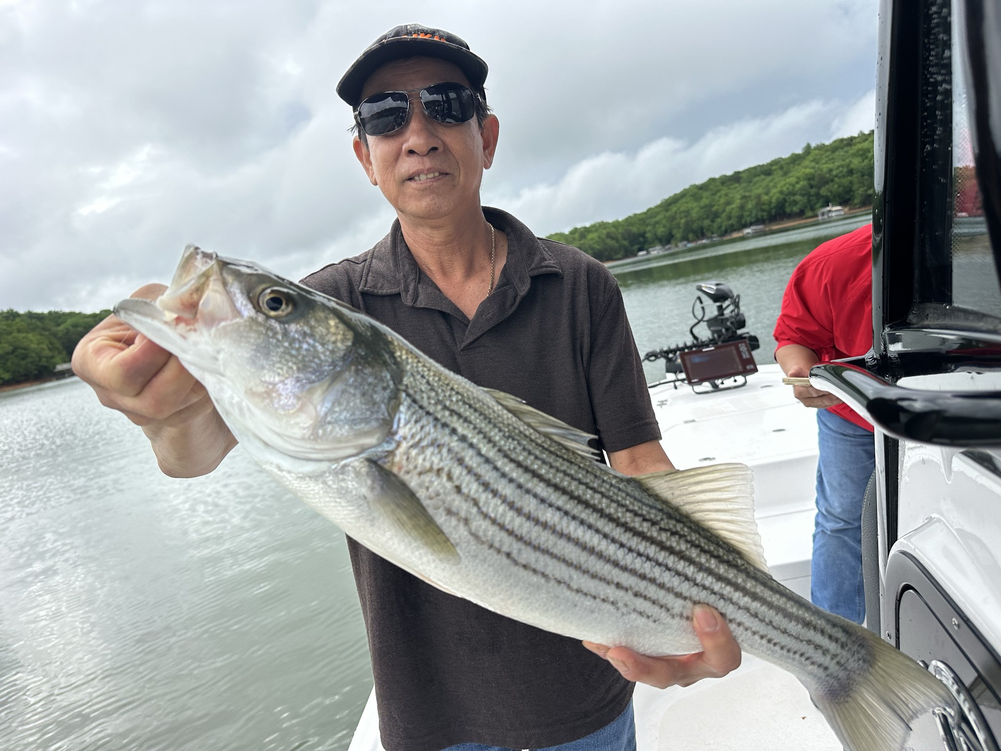 Lake Lanier May Striped Bass Success