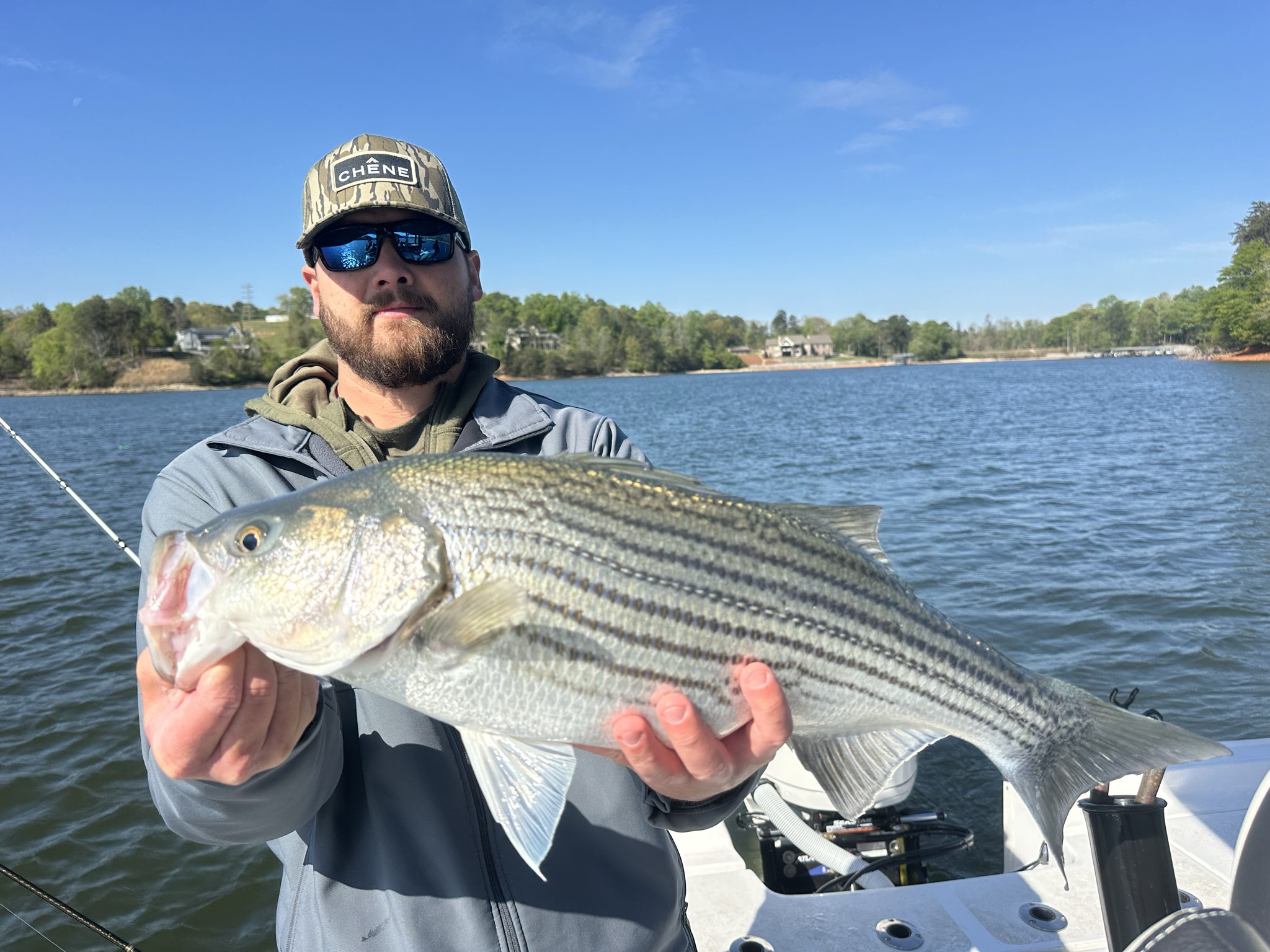 Striped And Spotted Bass Lake Lanier April