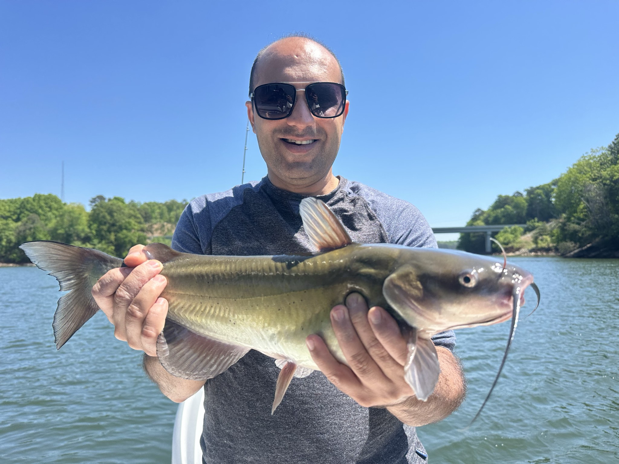 Striped Bass And Spotted Bass On Lake Lanier