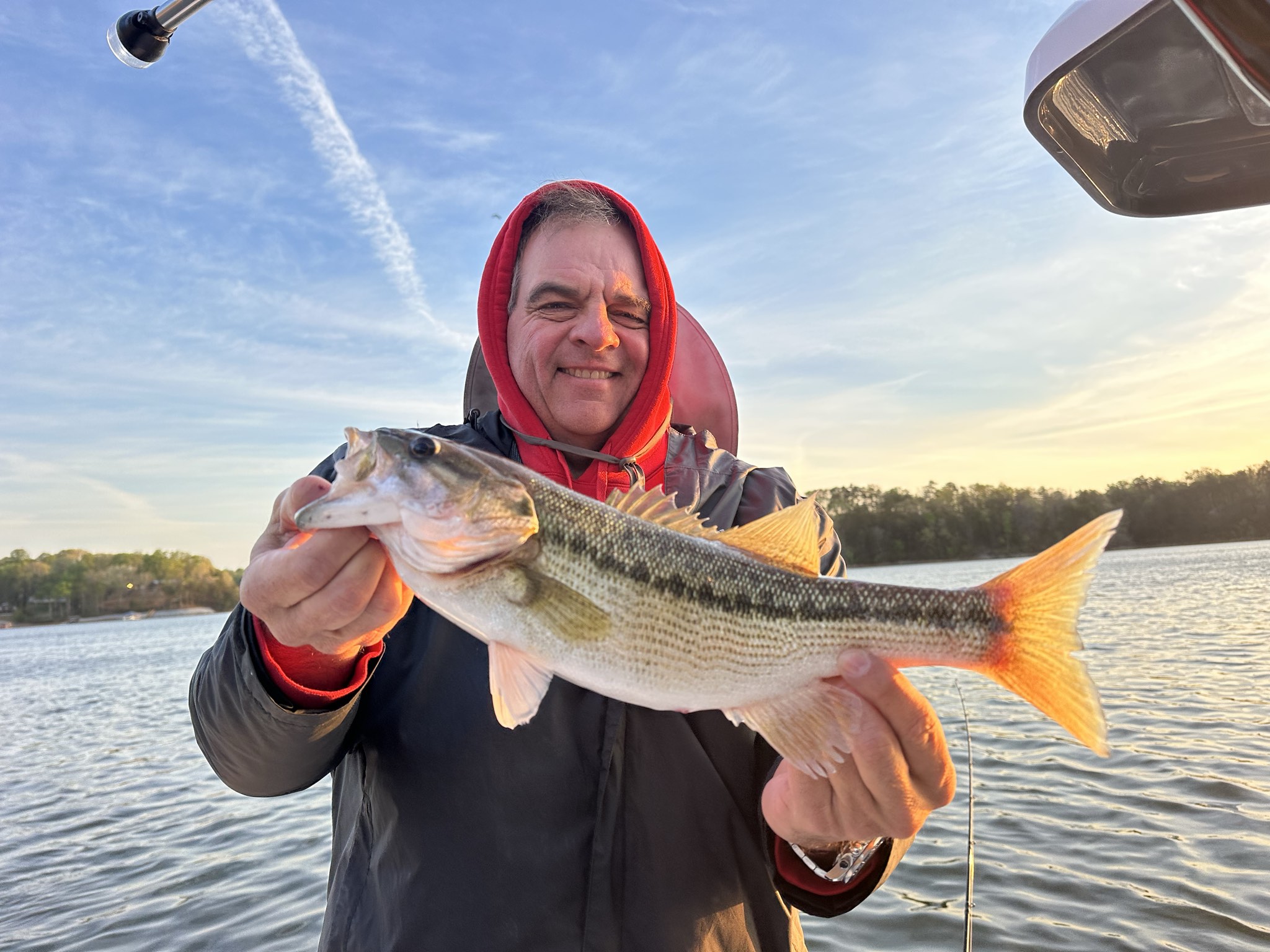 Striped Bass — April 2026