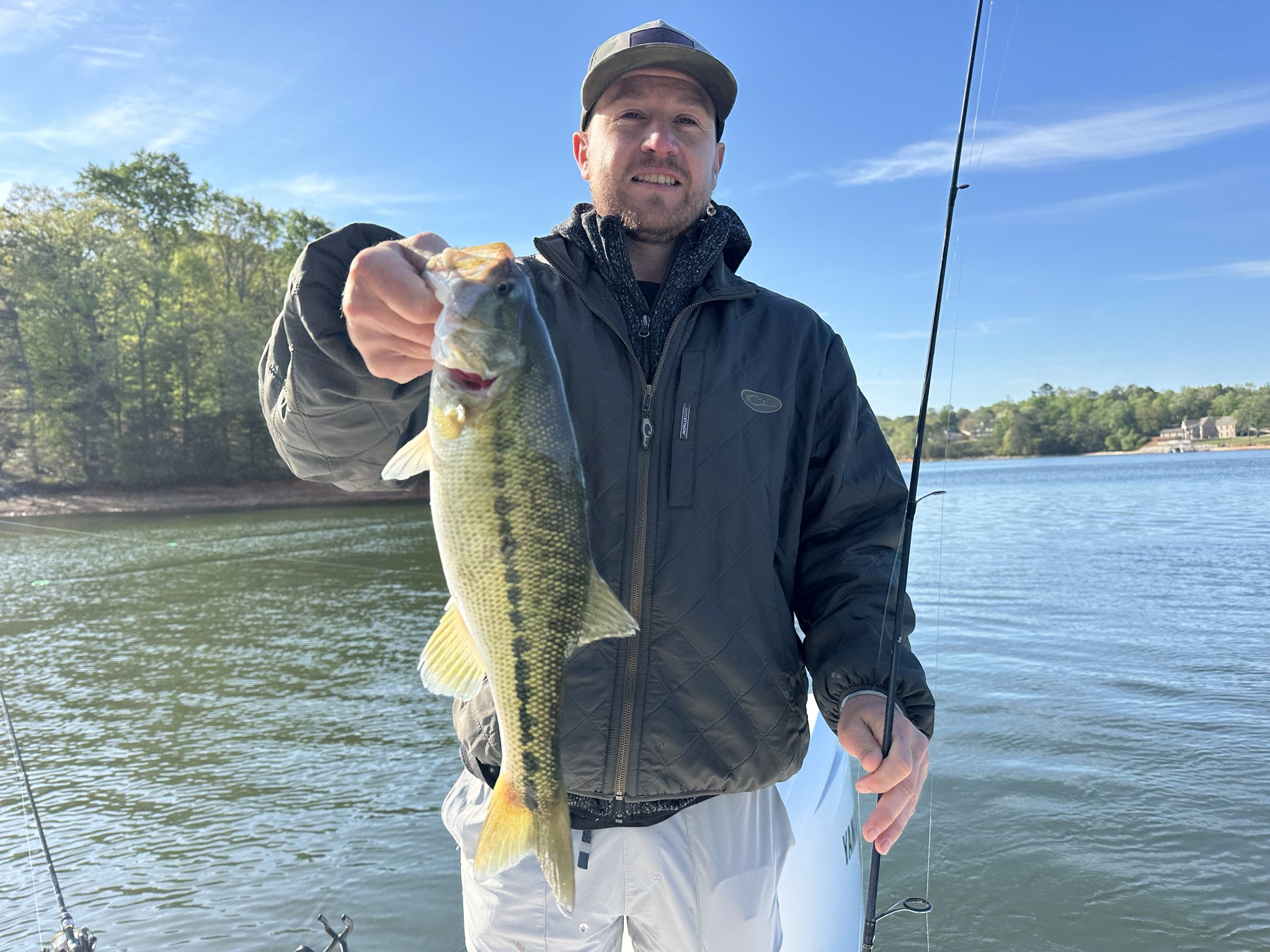 Striped And Spotted Bass Lake Lanier April