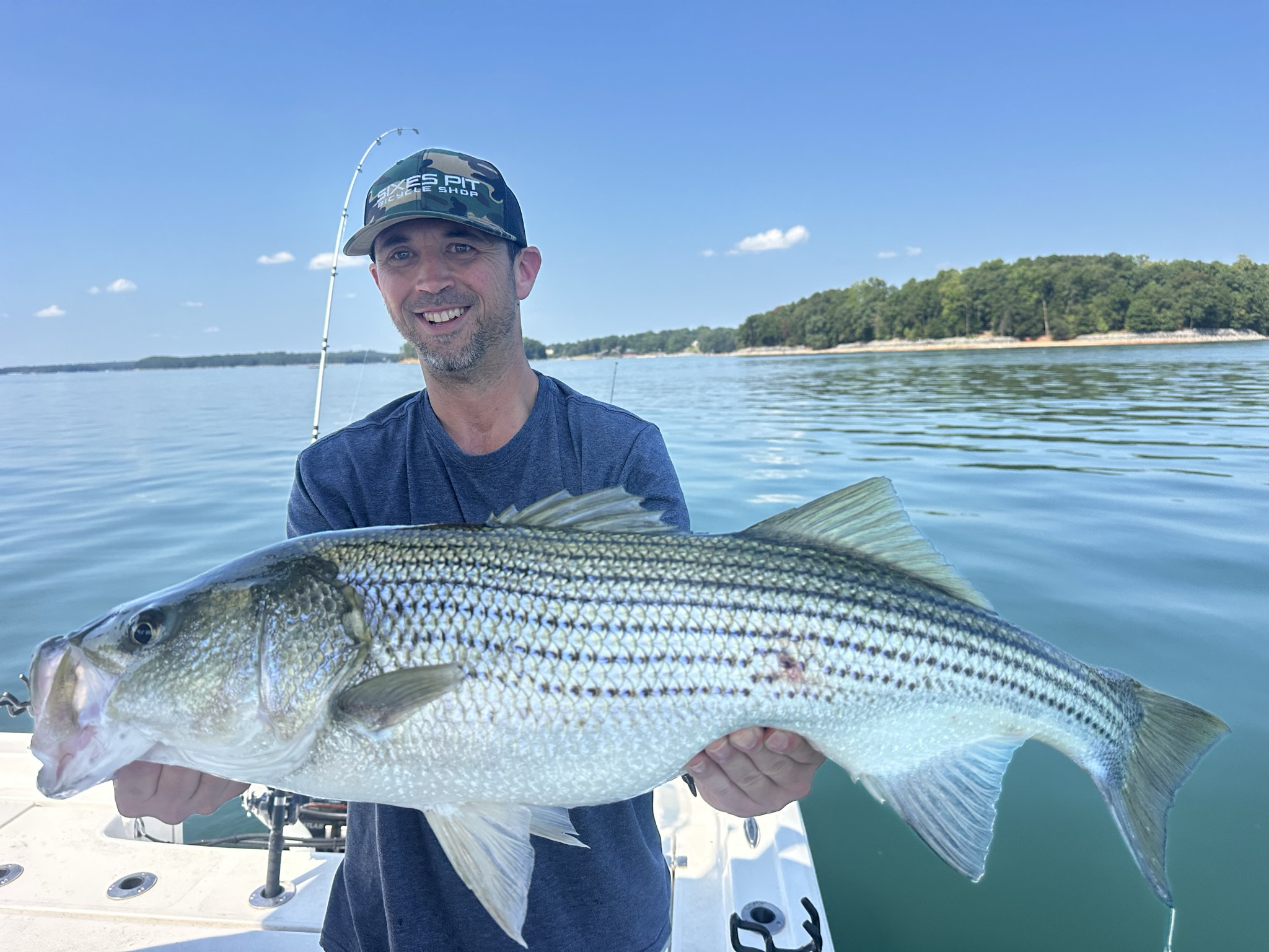 September Striped Bass Action Lake Lanier