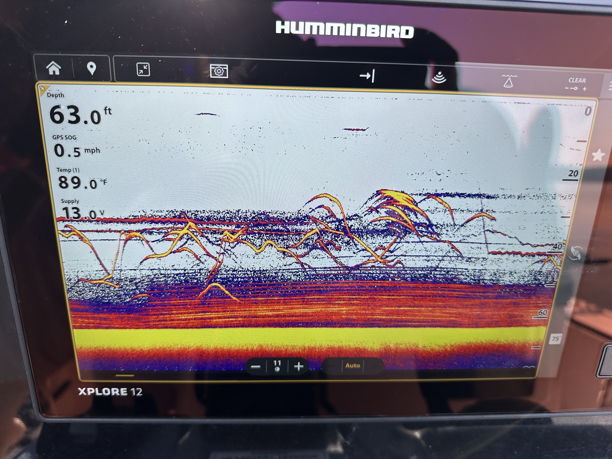 Summer Stripers And Spotted Bass Lake Lanier