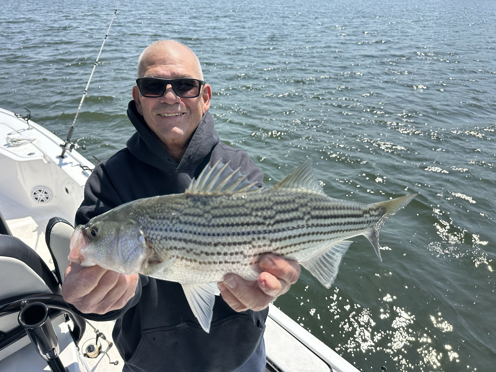 Striped Bass — April 2026