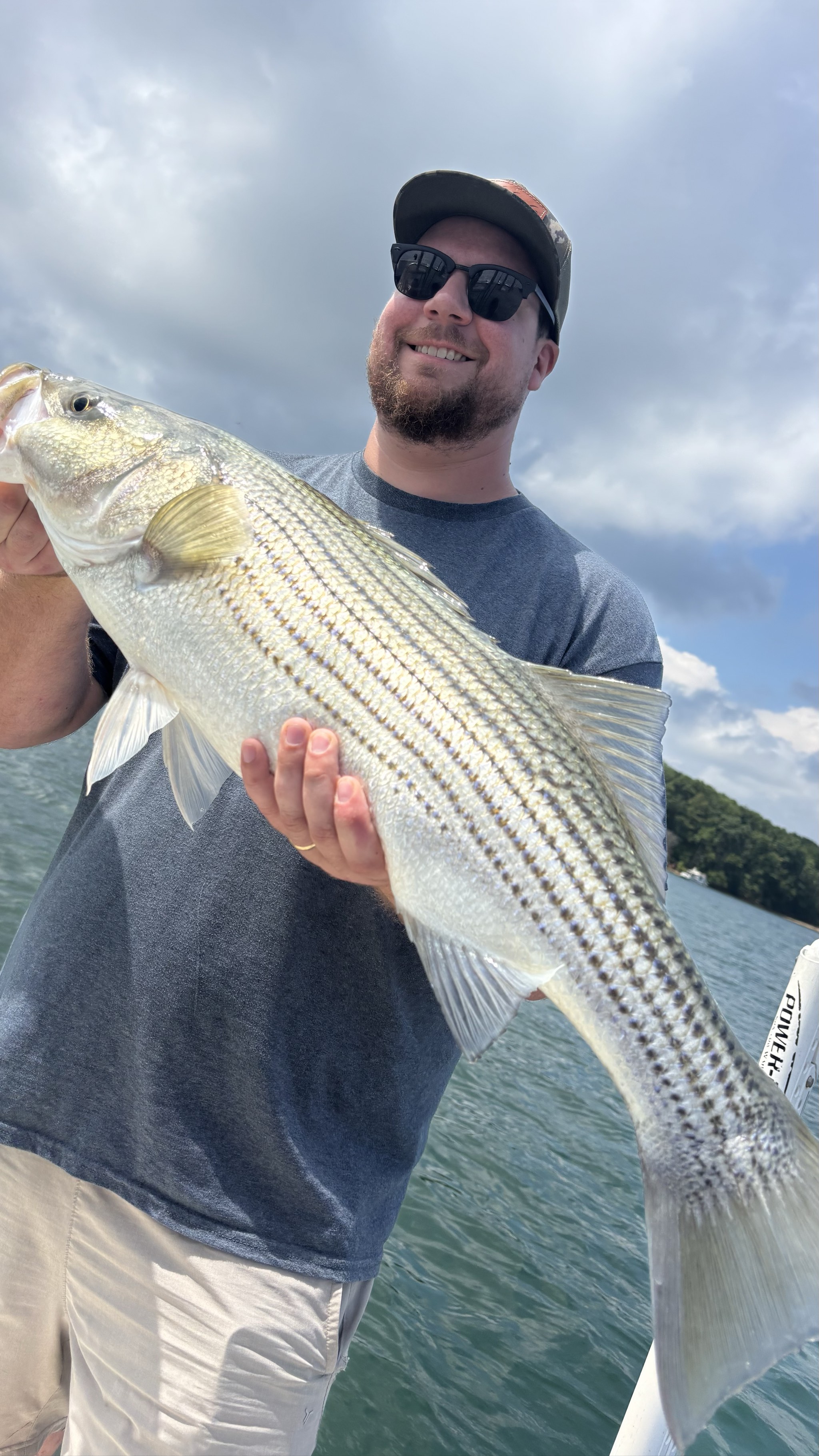 August Striped Bass Action on Lake Lanier