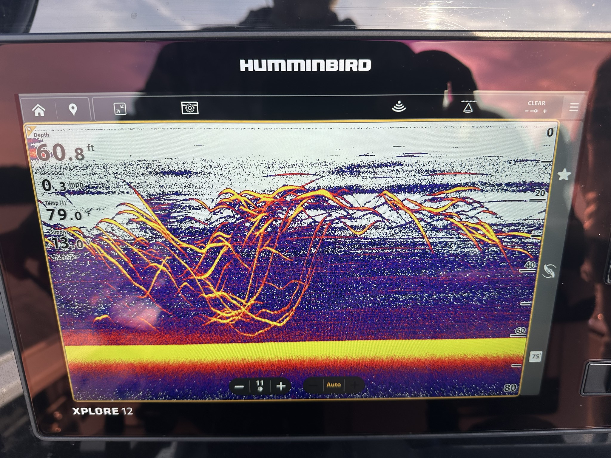 Summer Bass & Catfish on Lake Lanier