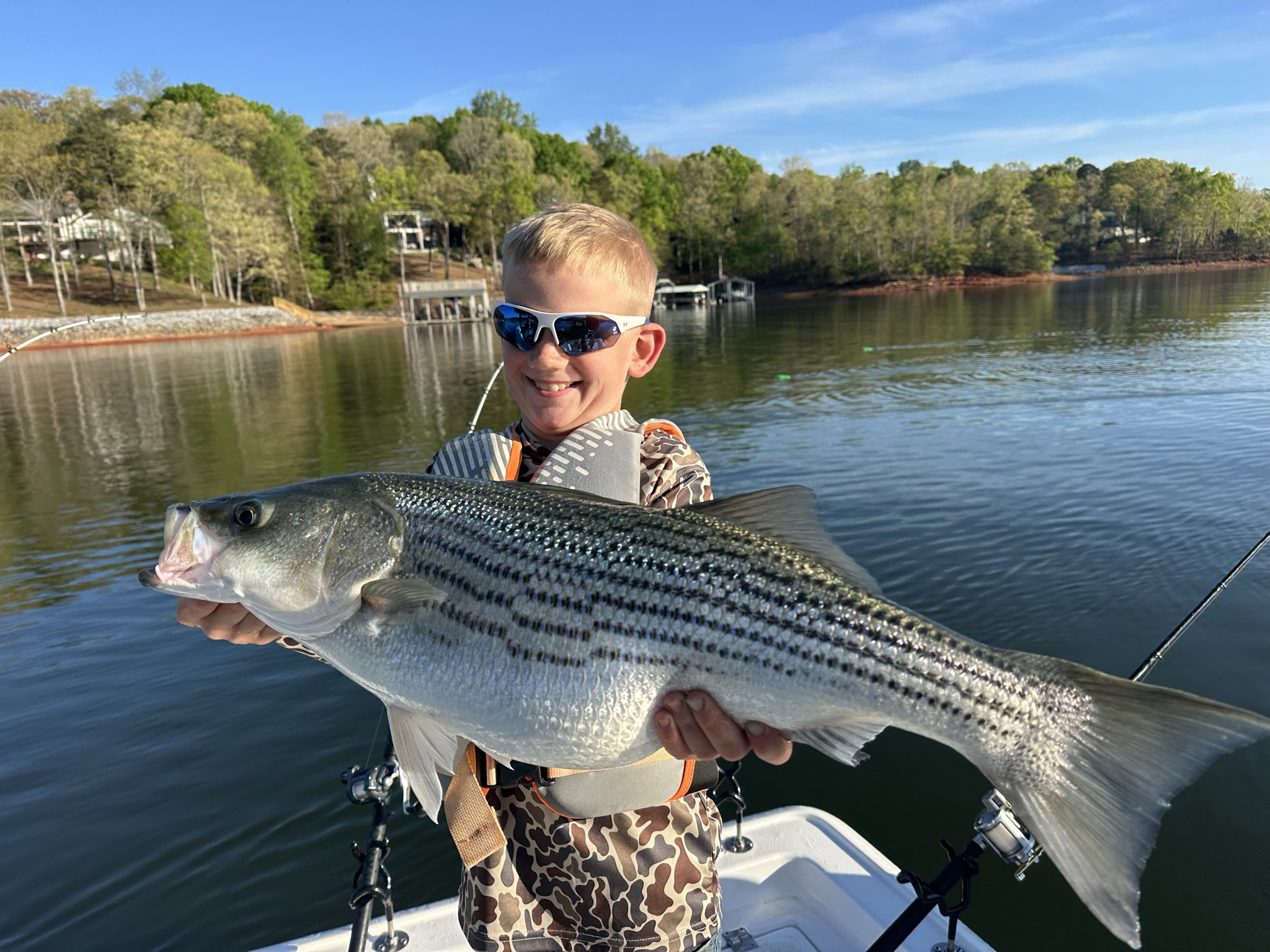 Striped Bass — April 2026