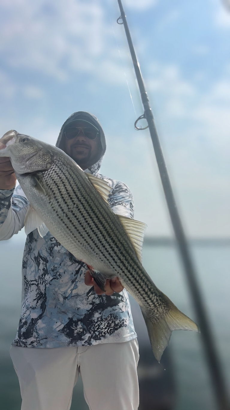Striped And Spotted Bass On Lake Lanier