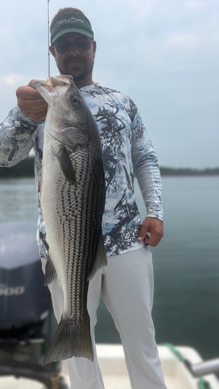 Striped And Spotted Bass On Lake Lanier
