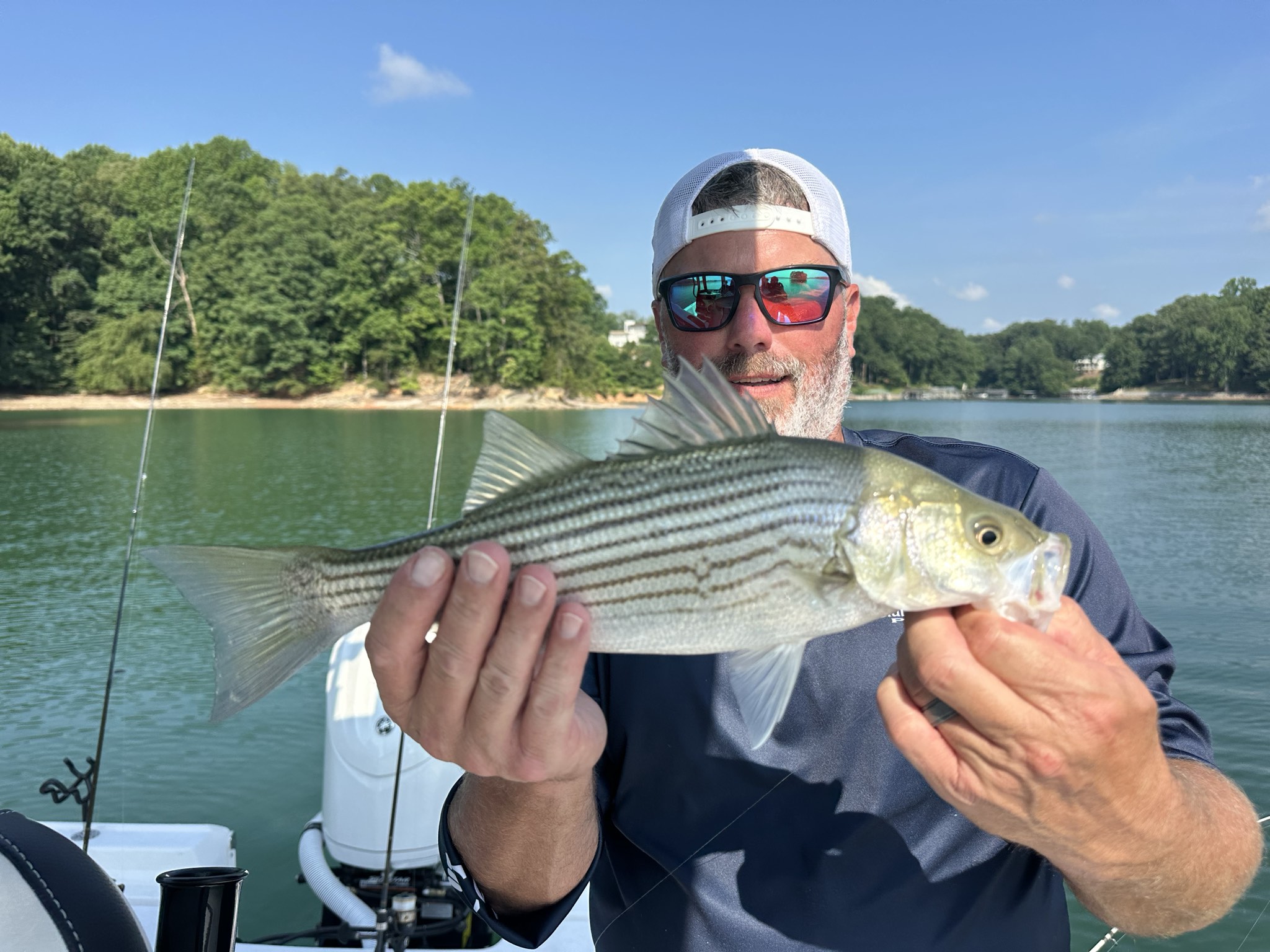 Summer Stripers And Spotted Bass Lake Lanier