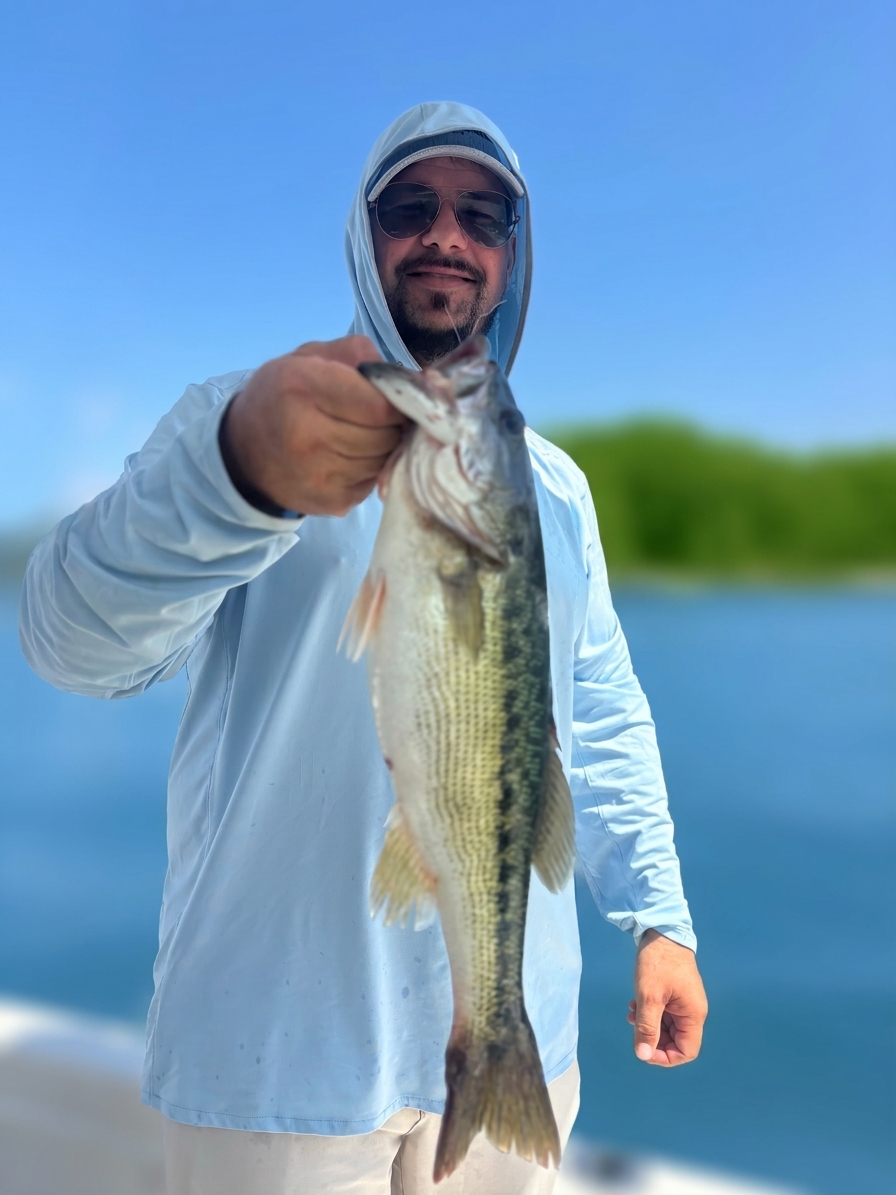 Spotted bass caught on Lake Lanier, Sept 20, 2026