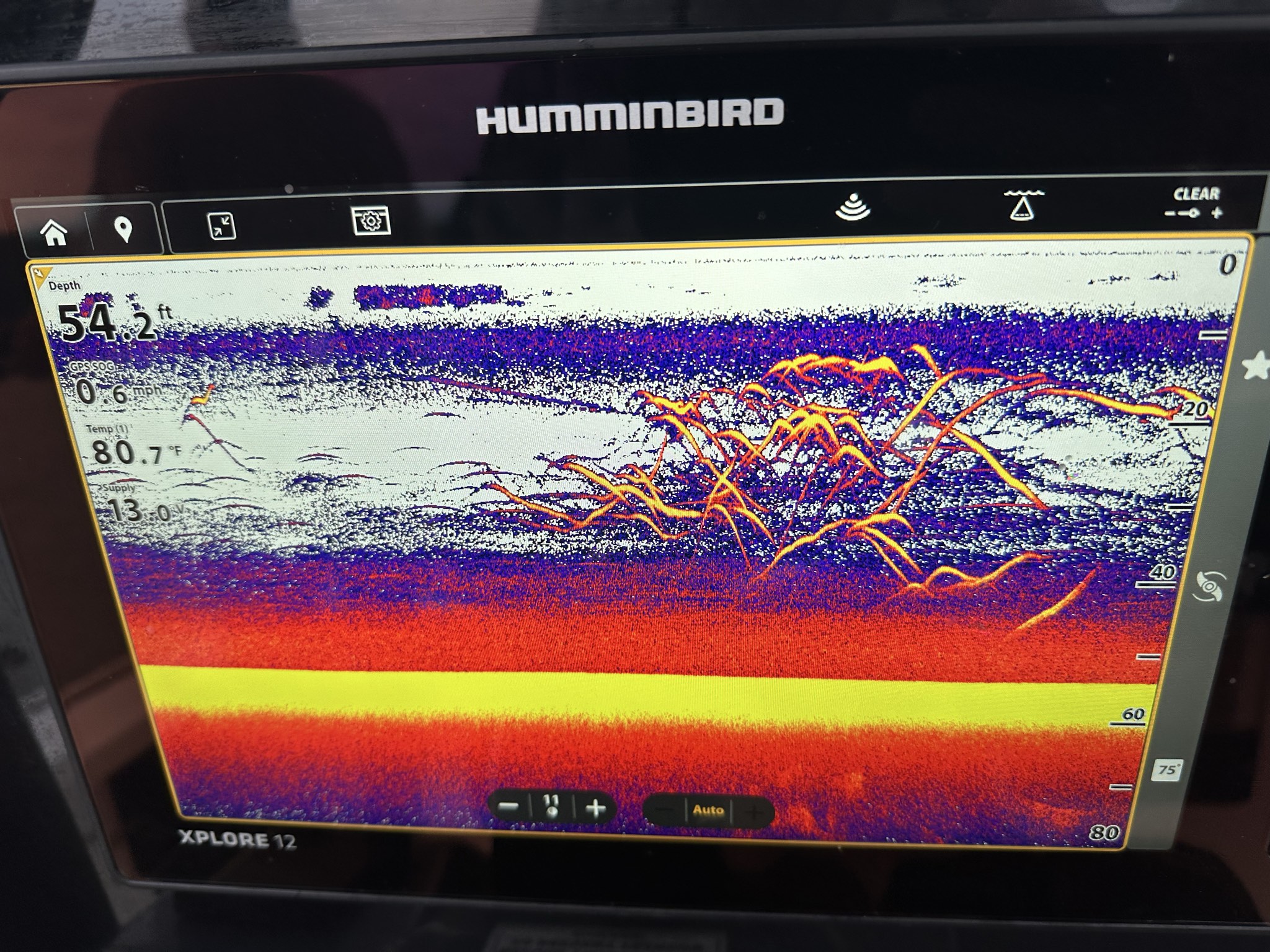 May Stripers, Spots, And Catfish On Lake Lanier