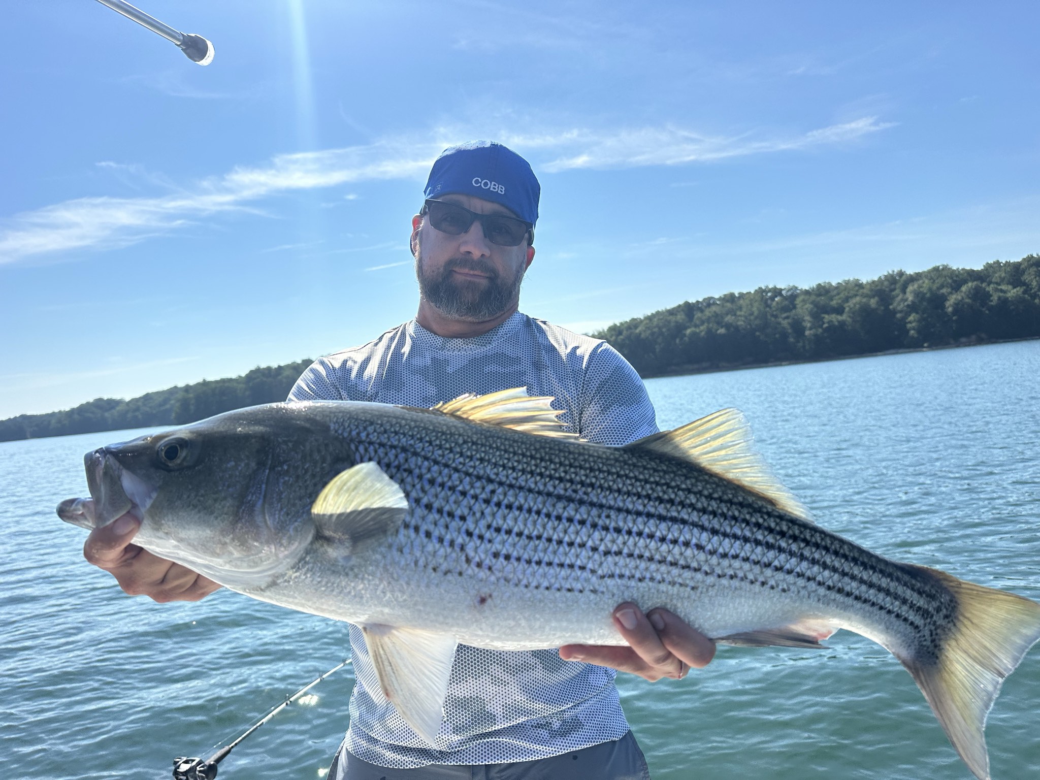 August Striped Bass Action On Lake Lanier