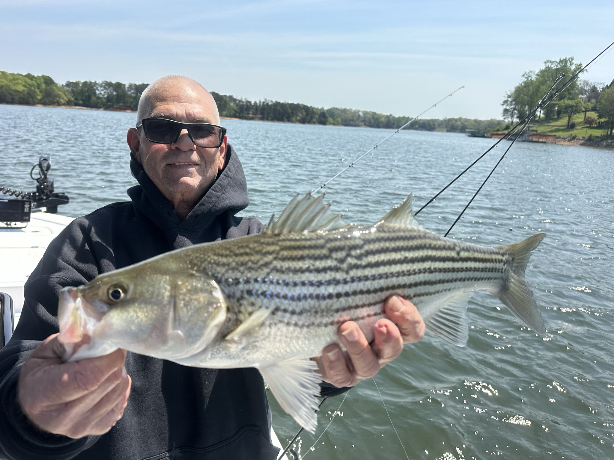 Striped Bass — April 2026