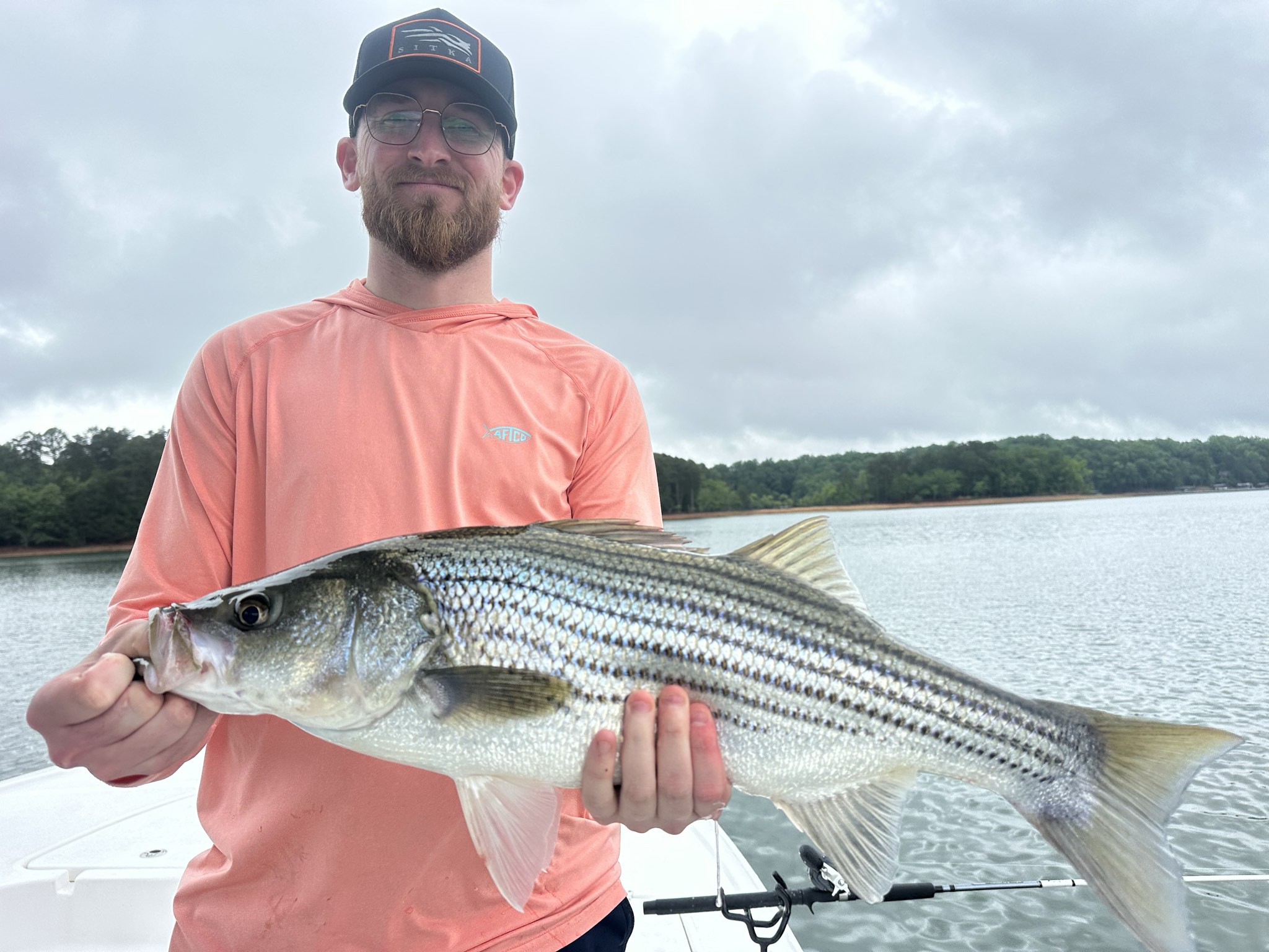 Striped Bass And Spotted Bass Action On Lake Lanier