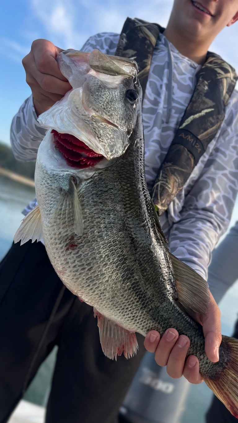 Family Fun: Four Species at Lake Lanier